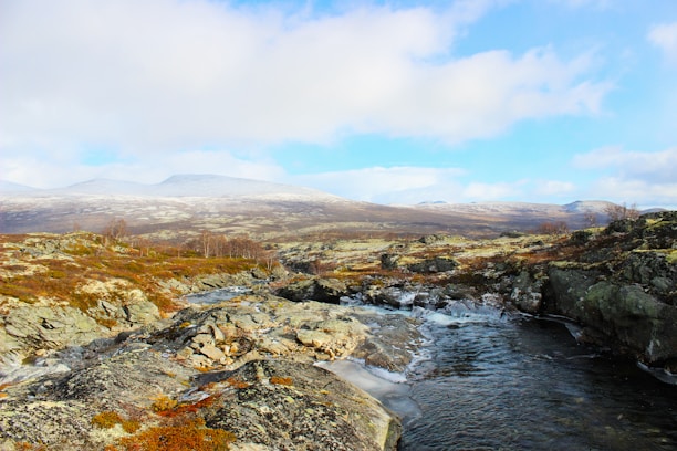 a stream running through a rocky landscape with mountains in the background