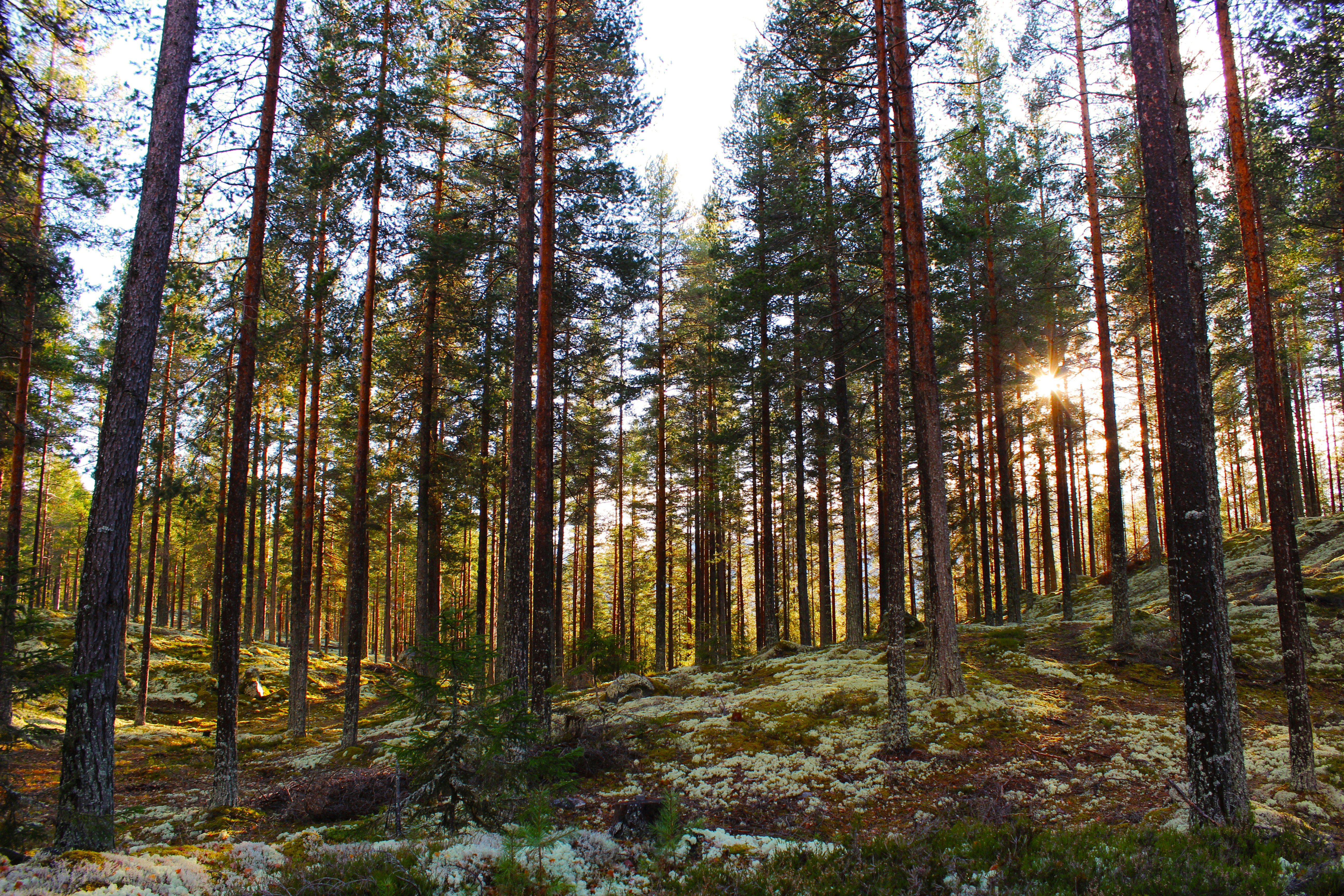 Photo by happy_sad_repeat