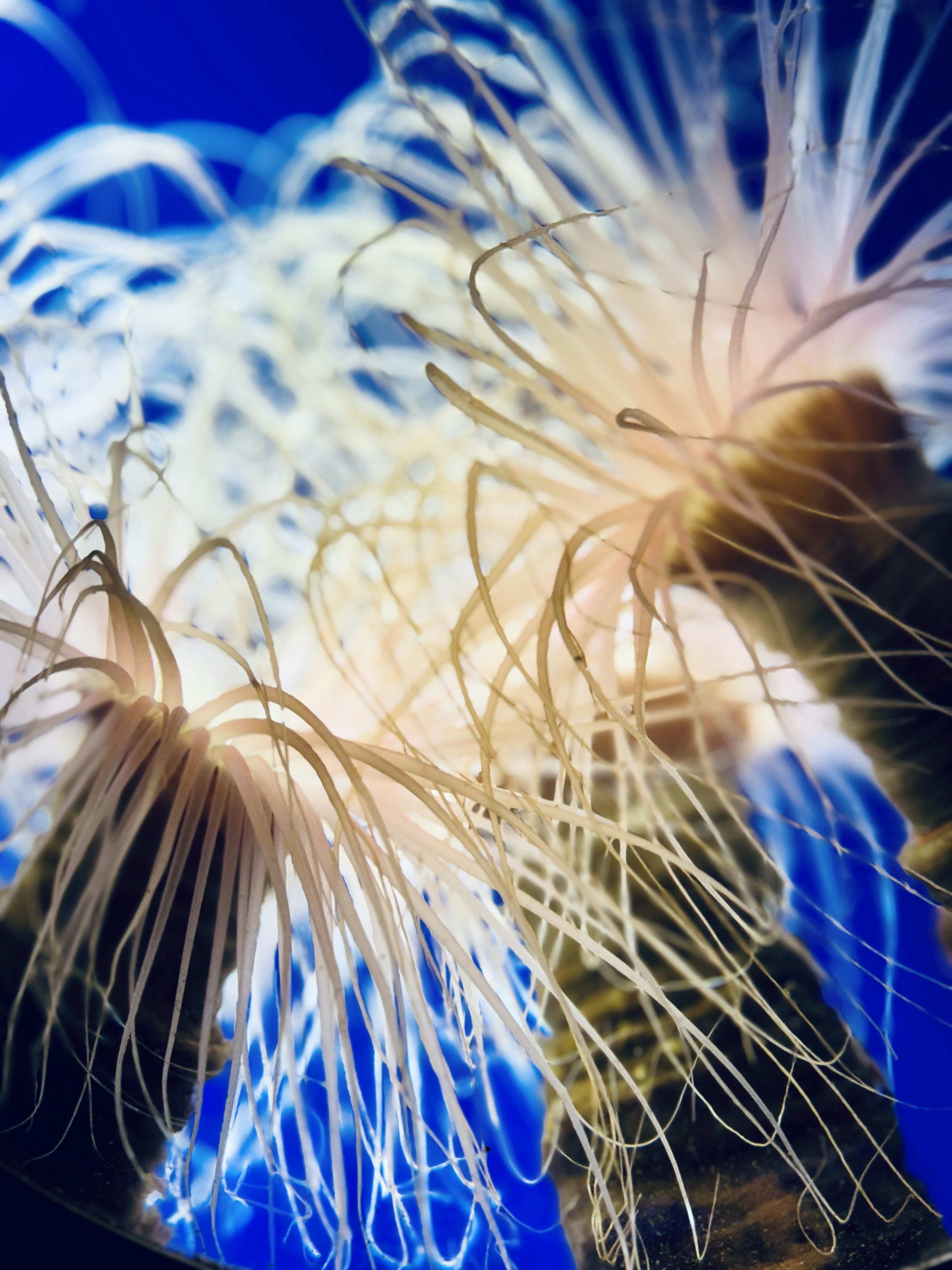 Photo by elijahlopes22