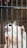 A small, light-colored animal with large, dark eyes is gripping the bars of a cage with its tiny paws. The bars of the cage are rusted and close together, giving a sense of confinement.