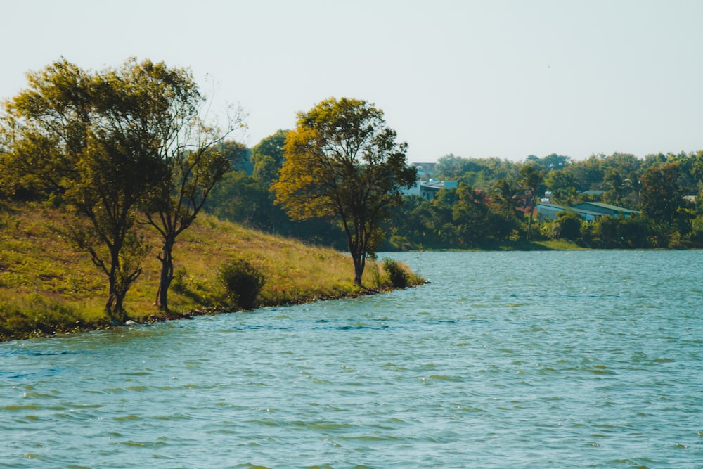 a body of water surrounded by trees and grass