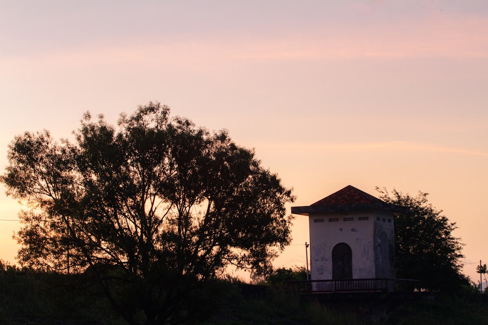 a tree and a tower in the distance