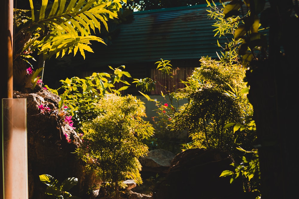 a view of a house through some trees