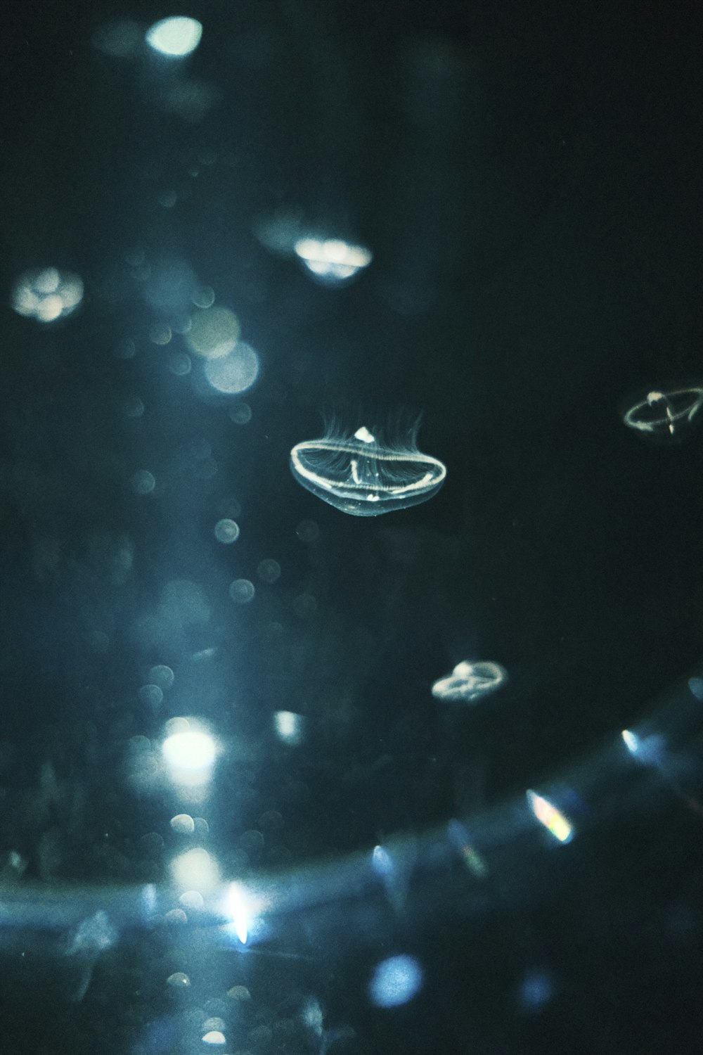 a close up of water droplets on a surface