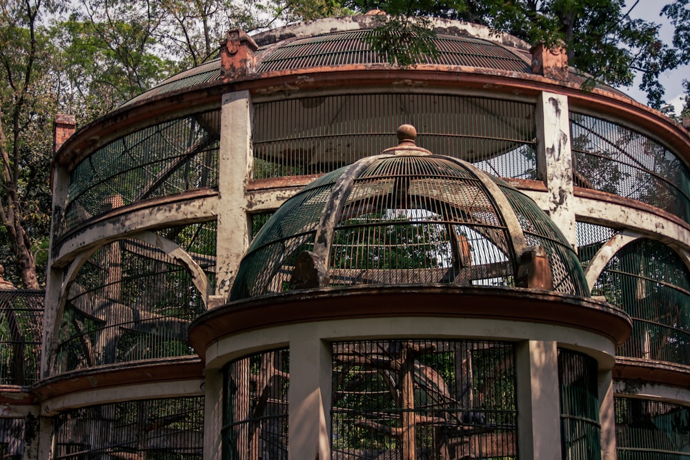 a bird cage with a bird inside of it