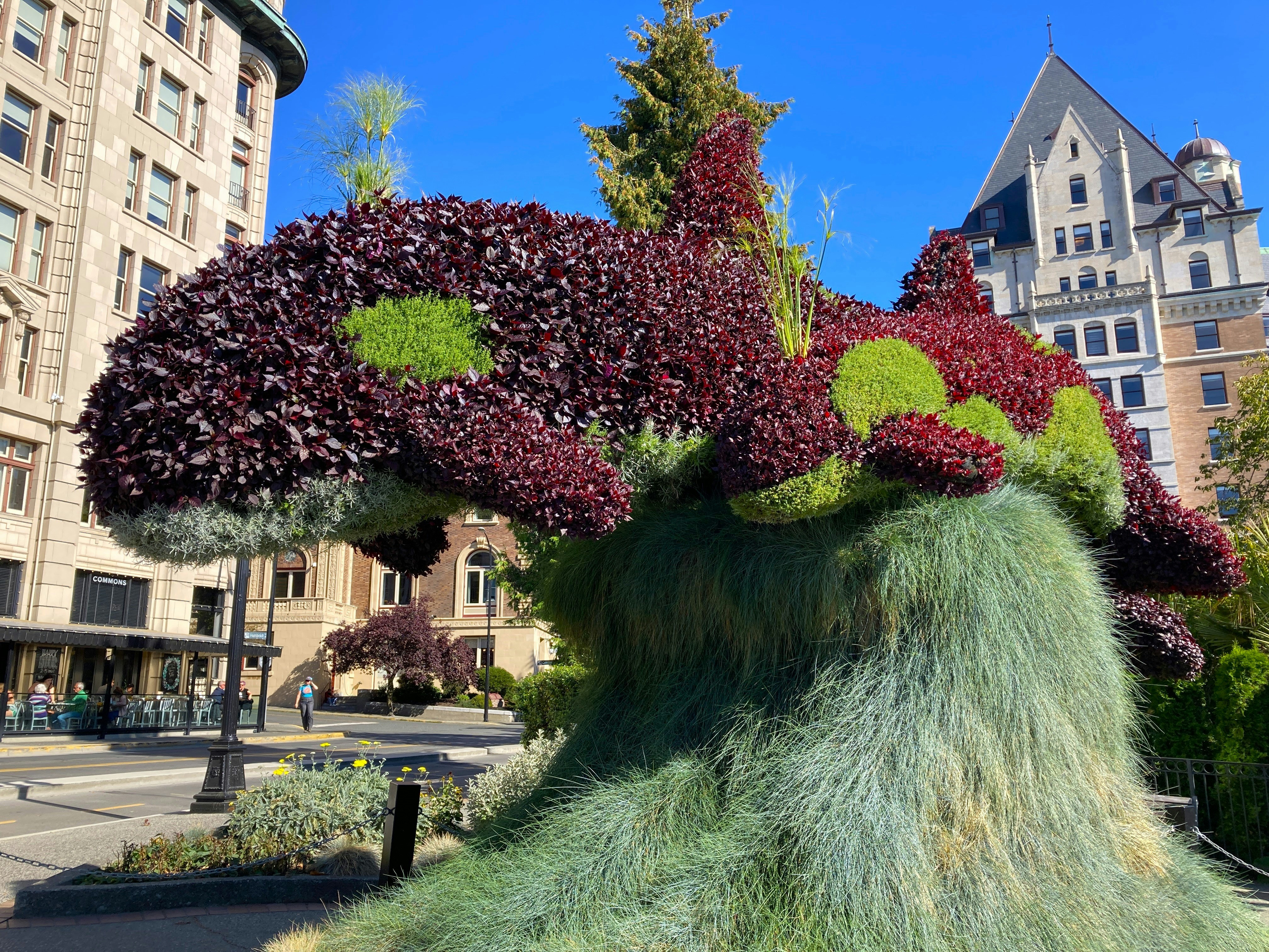 Topiary - Mother Orca and Calf Topiary - Orca Flower Sculpture - Victoria, BC, Canada