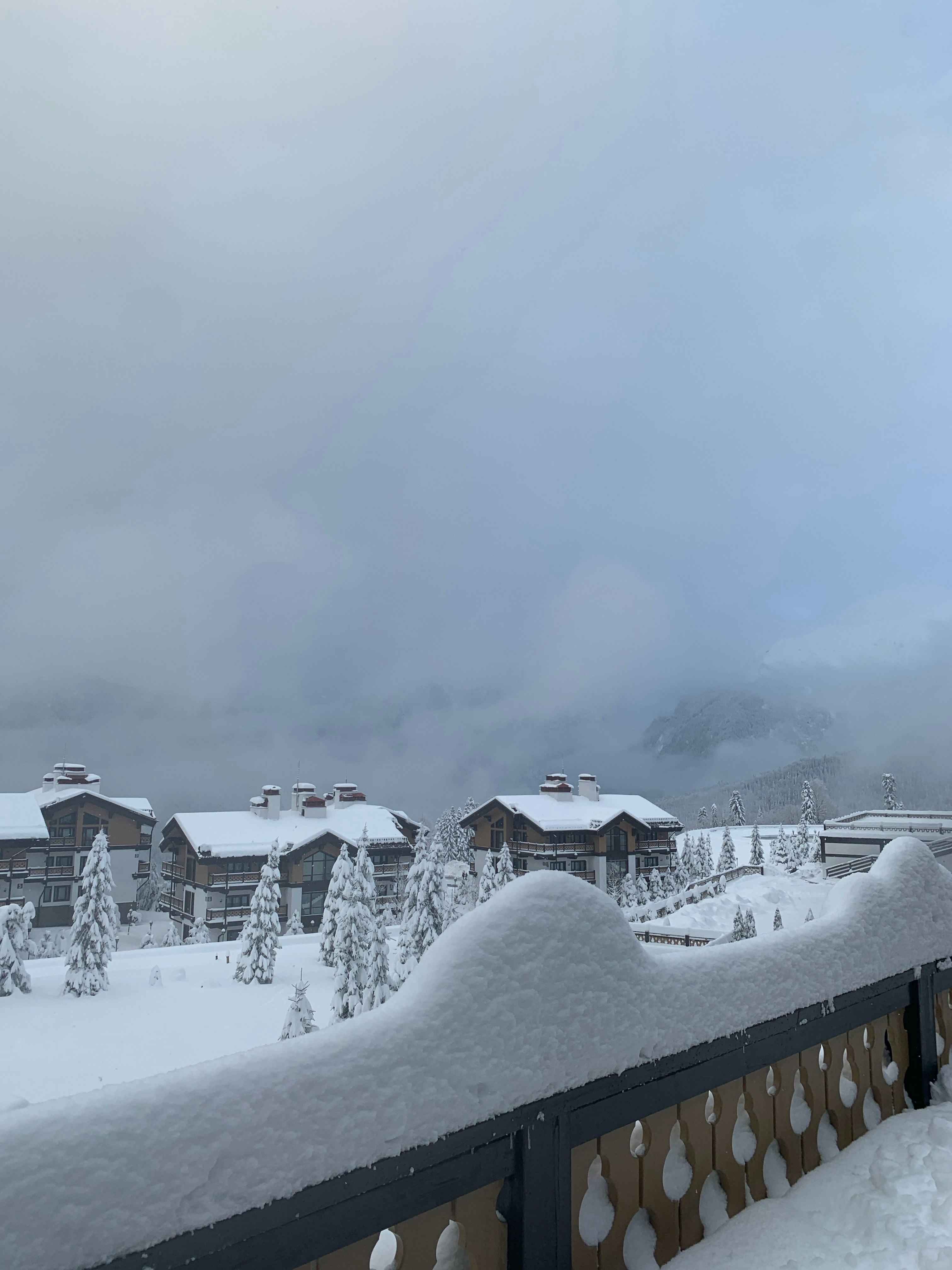 Photo by webdrawcolors