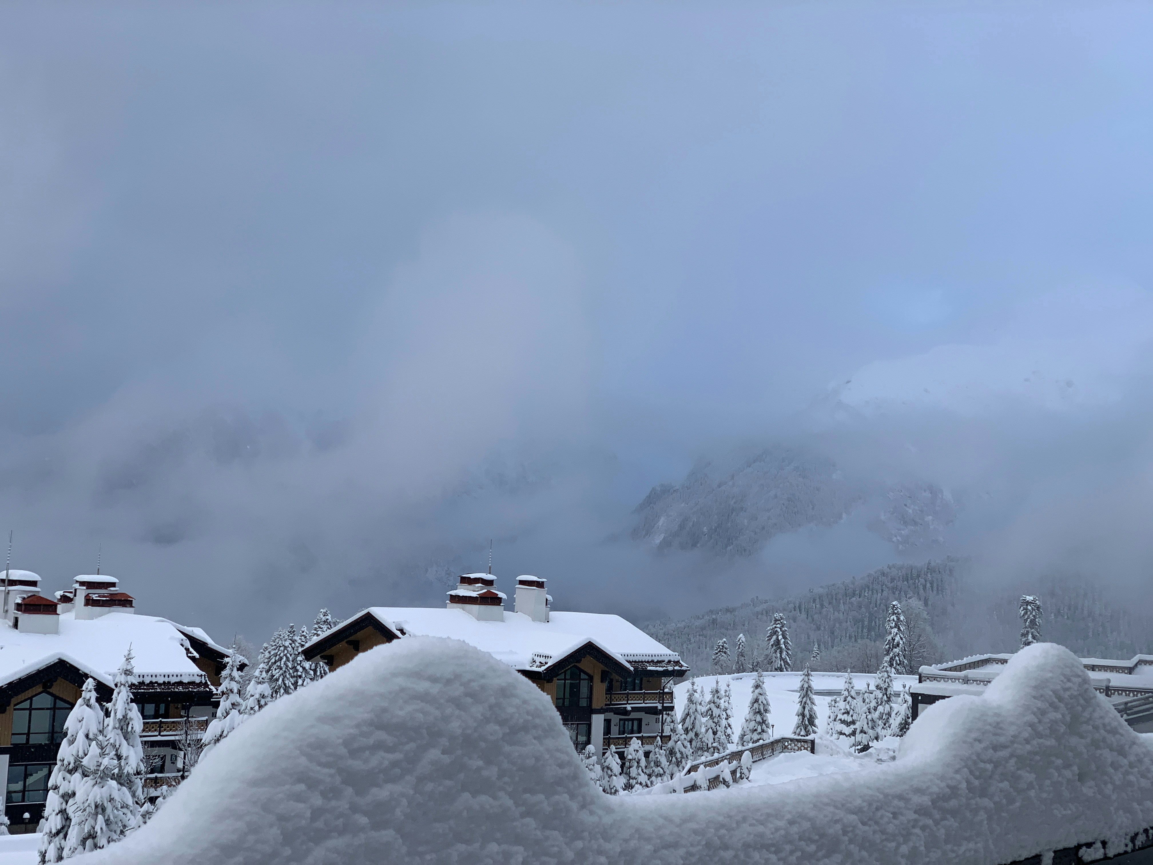 Photo by webdrawcolors