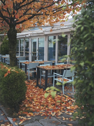 A serene outdoor cafe seating area is covered with a blanket of fallen autumn leaves. Surrounding the scene, a tree with orange leaves stands prominently while a hedge frames the foreground. The tables and chairs are simple and modern, and the glass facade of the building reflects the overcast sky.