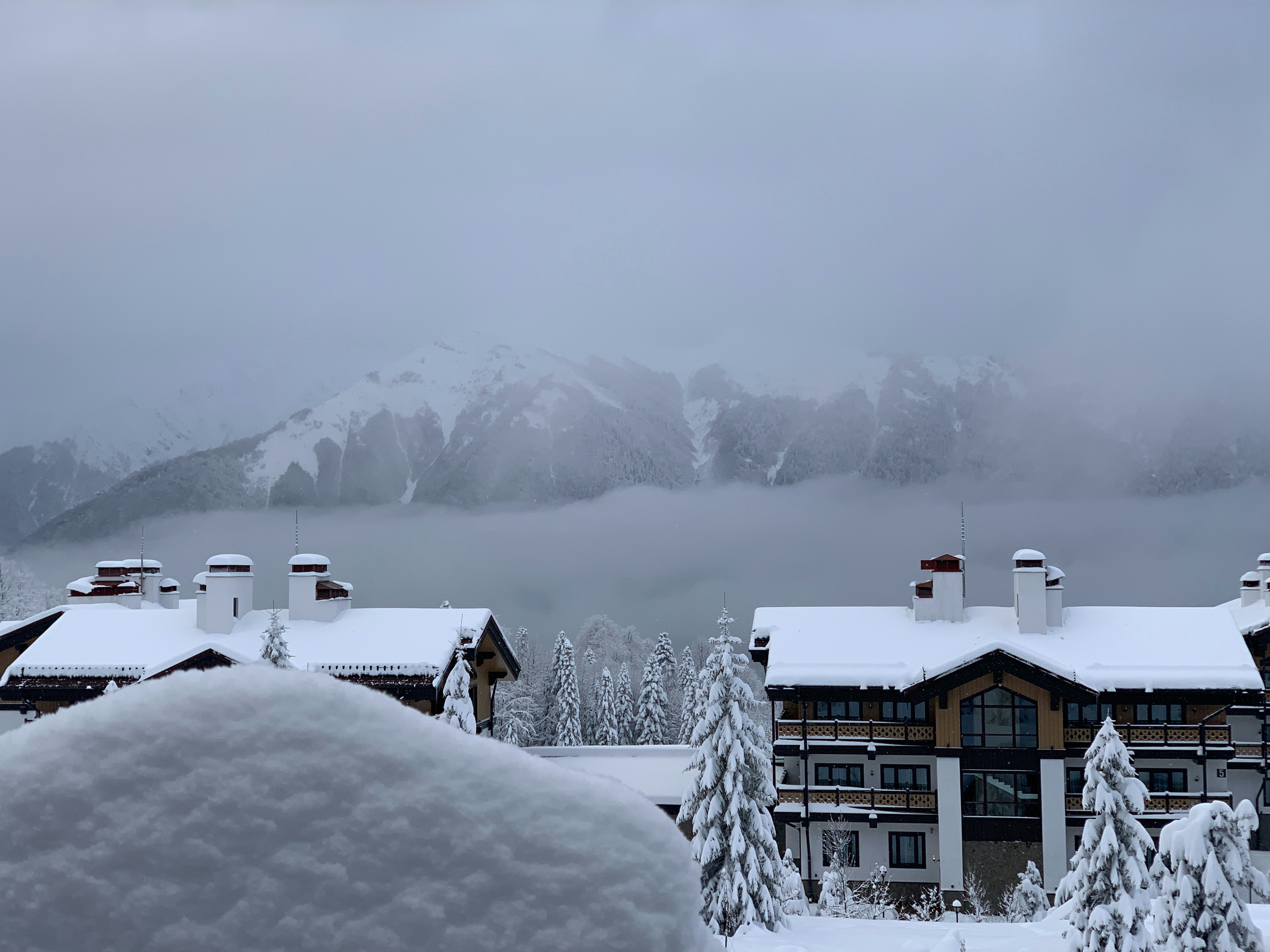 Photo by webdrawcolors