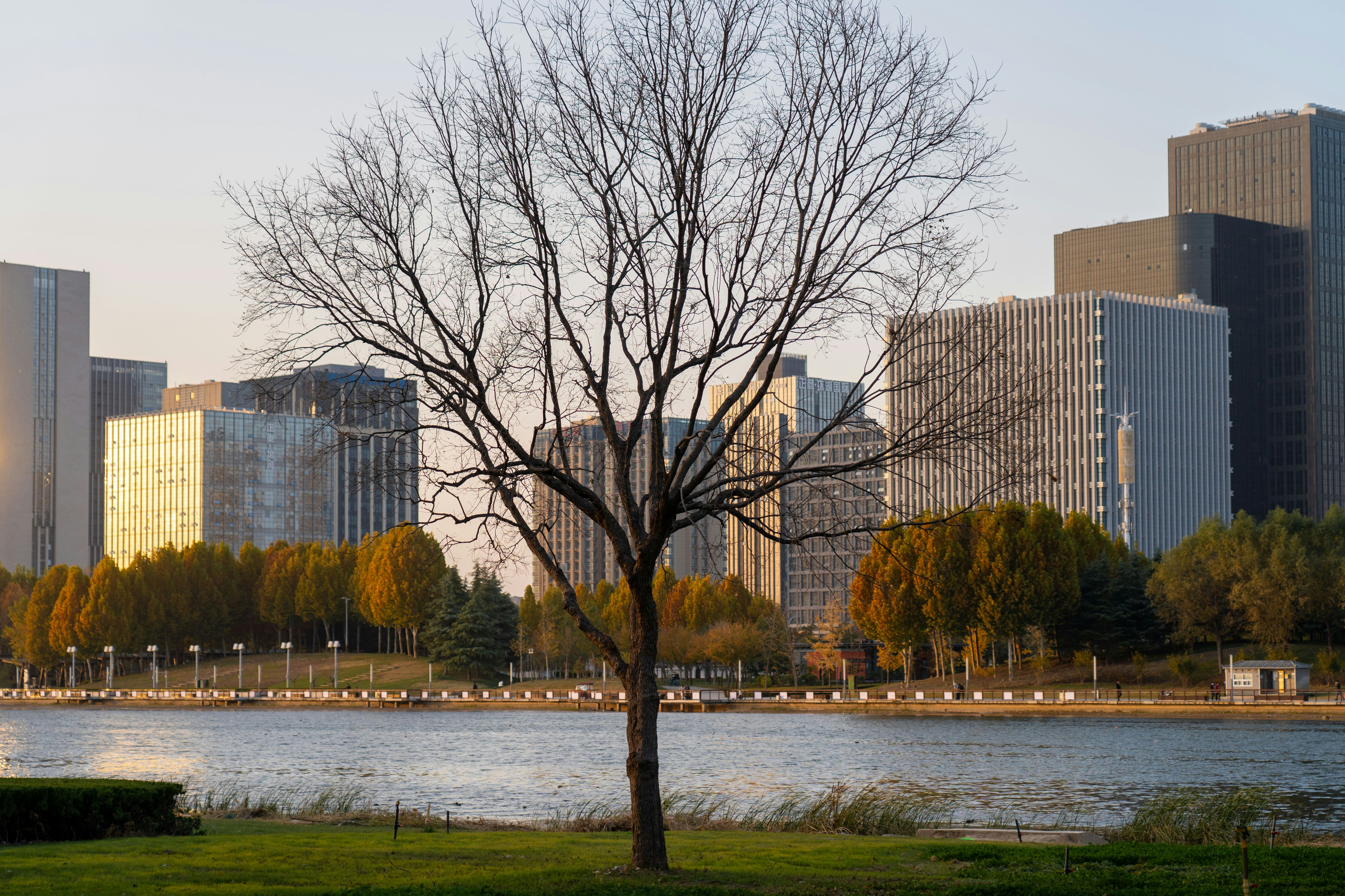 Photo by y1316476967