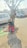 A person is sitting on a mat by a tree in a parking lot with cars in the background. They appear to be holding a child. The tree has a fence around its base and there are items like a bottle near them. The ground is paved, and the area is well-lit, suggesting daytime.