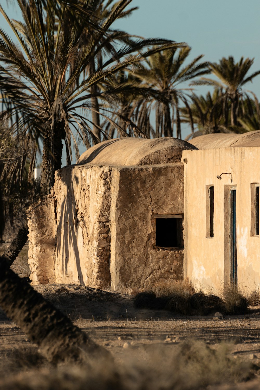 an old building with palm trees in the background