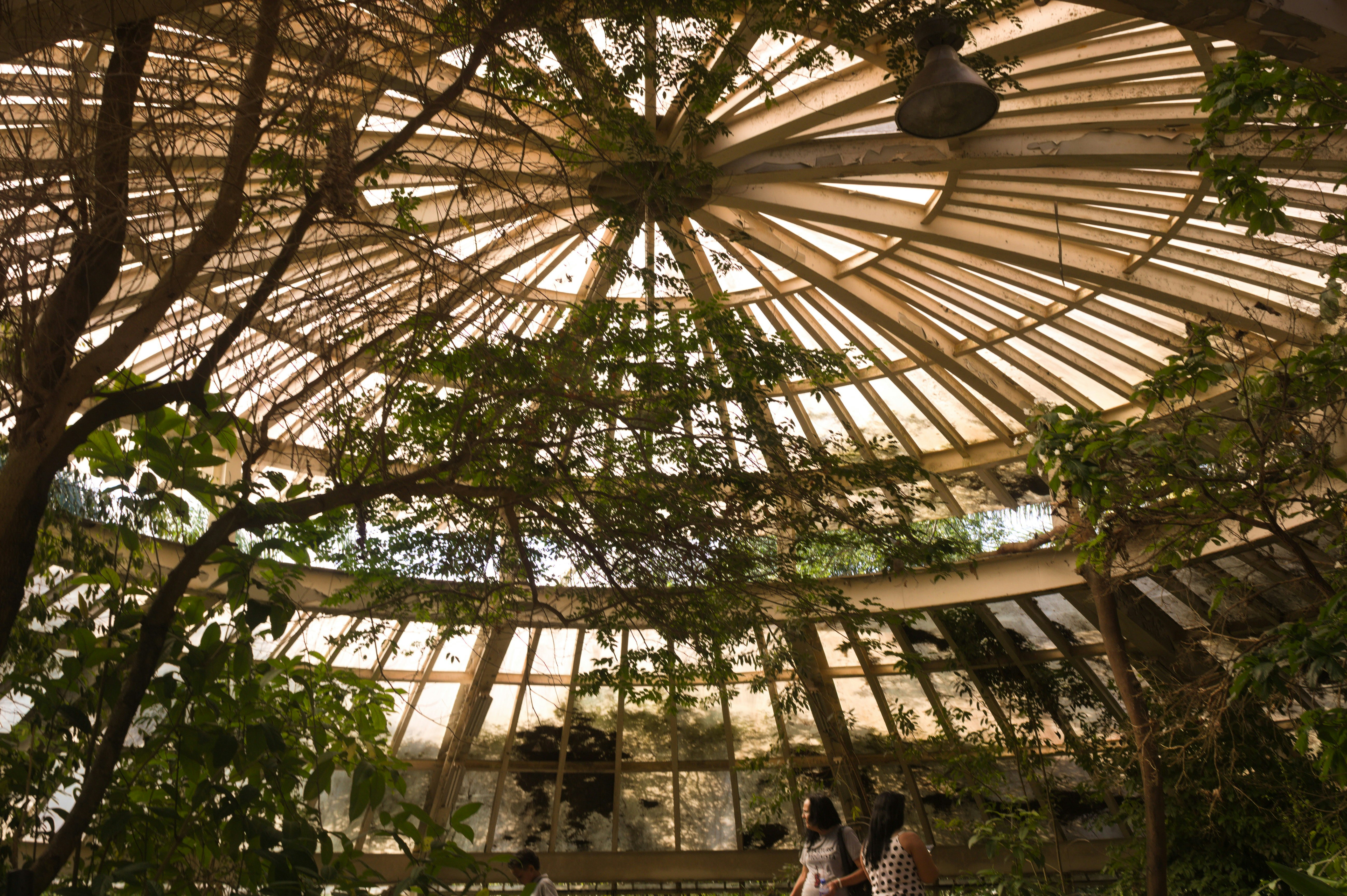 Photo by gladystonefonseca