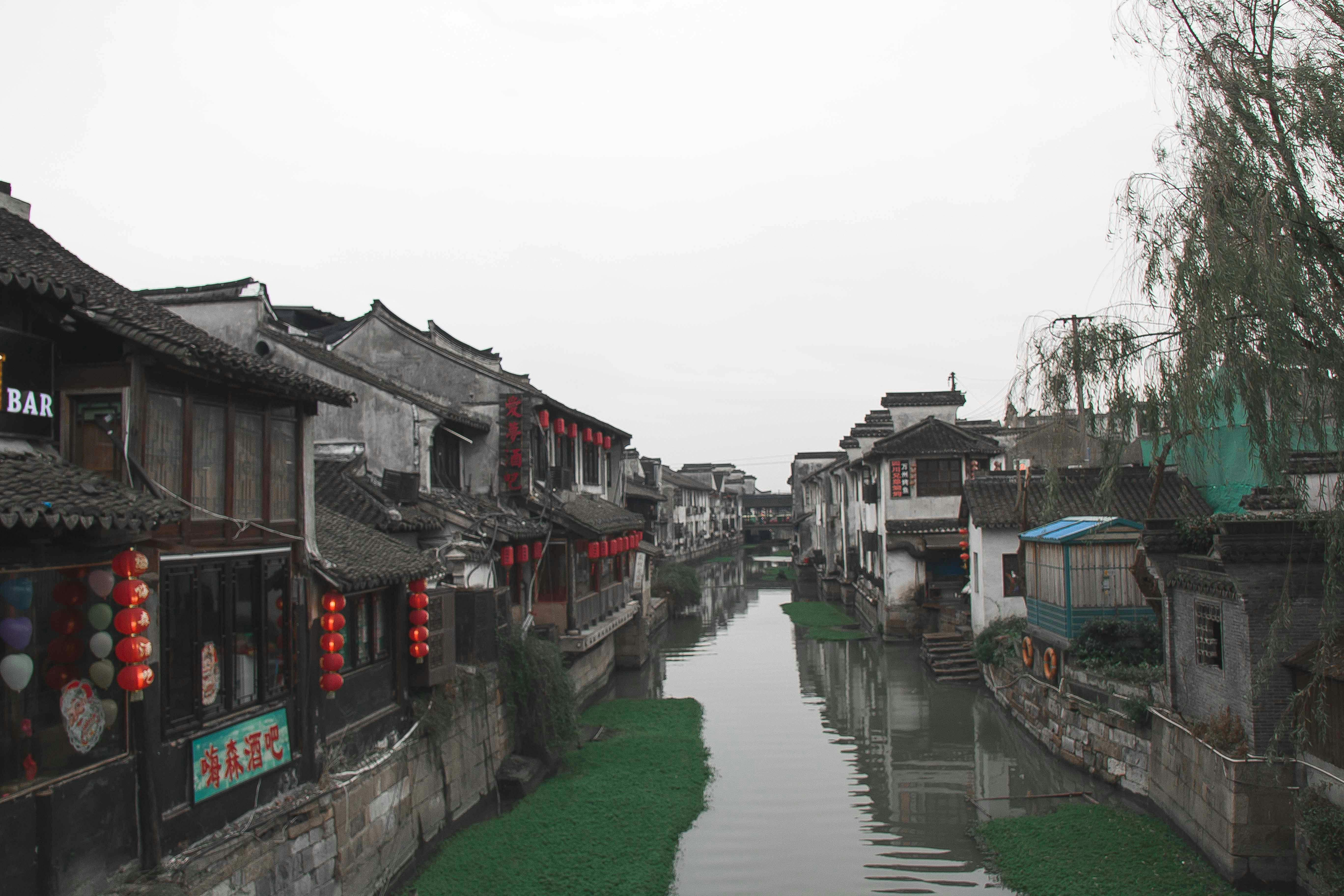 Photo by realdadalan