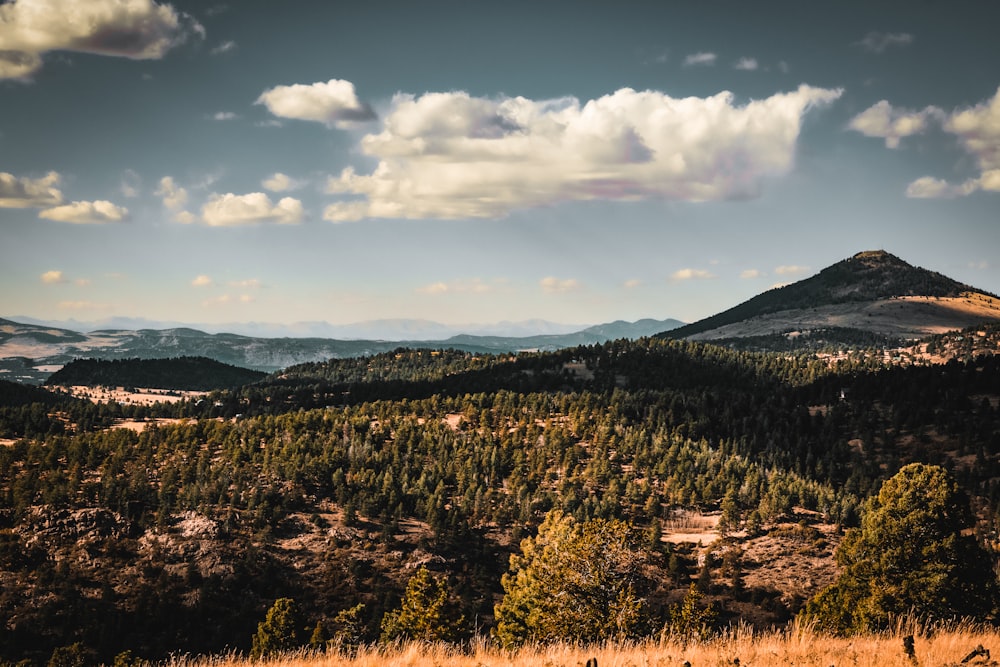 a view of a mountain range with trees in the foreground