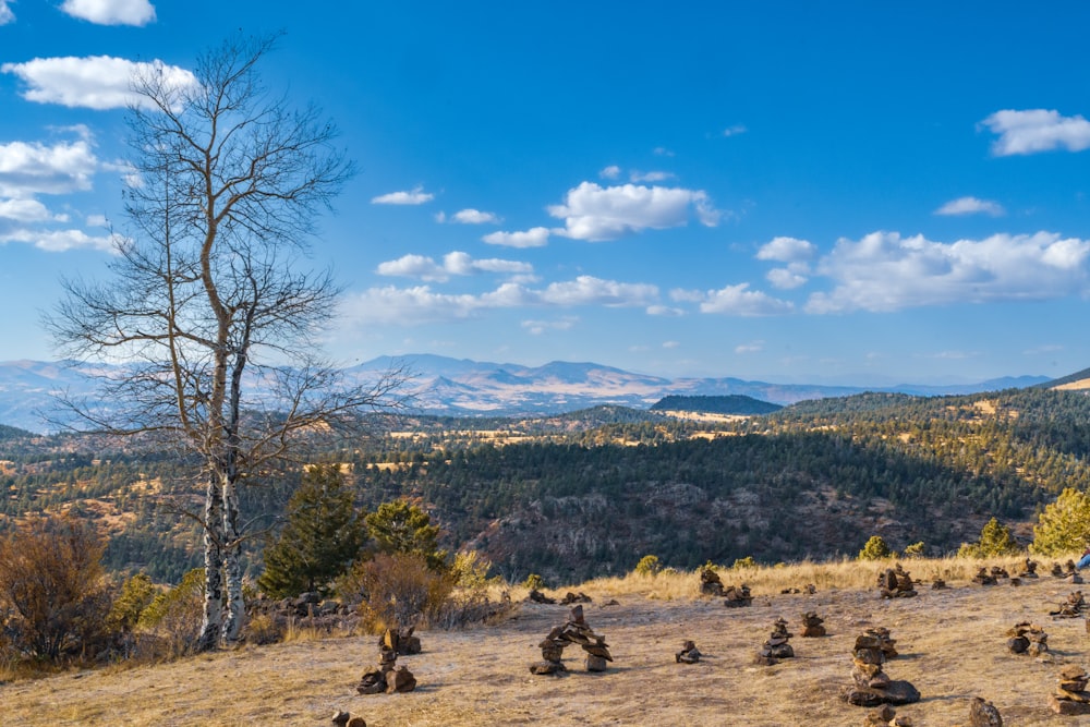 a group of people sitting on top of a hill