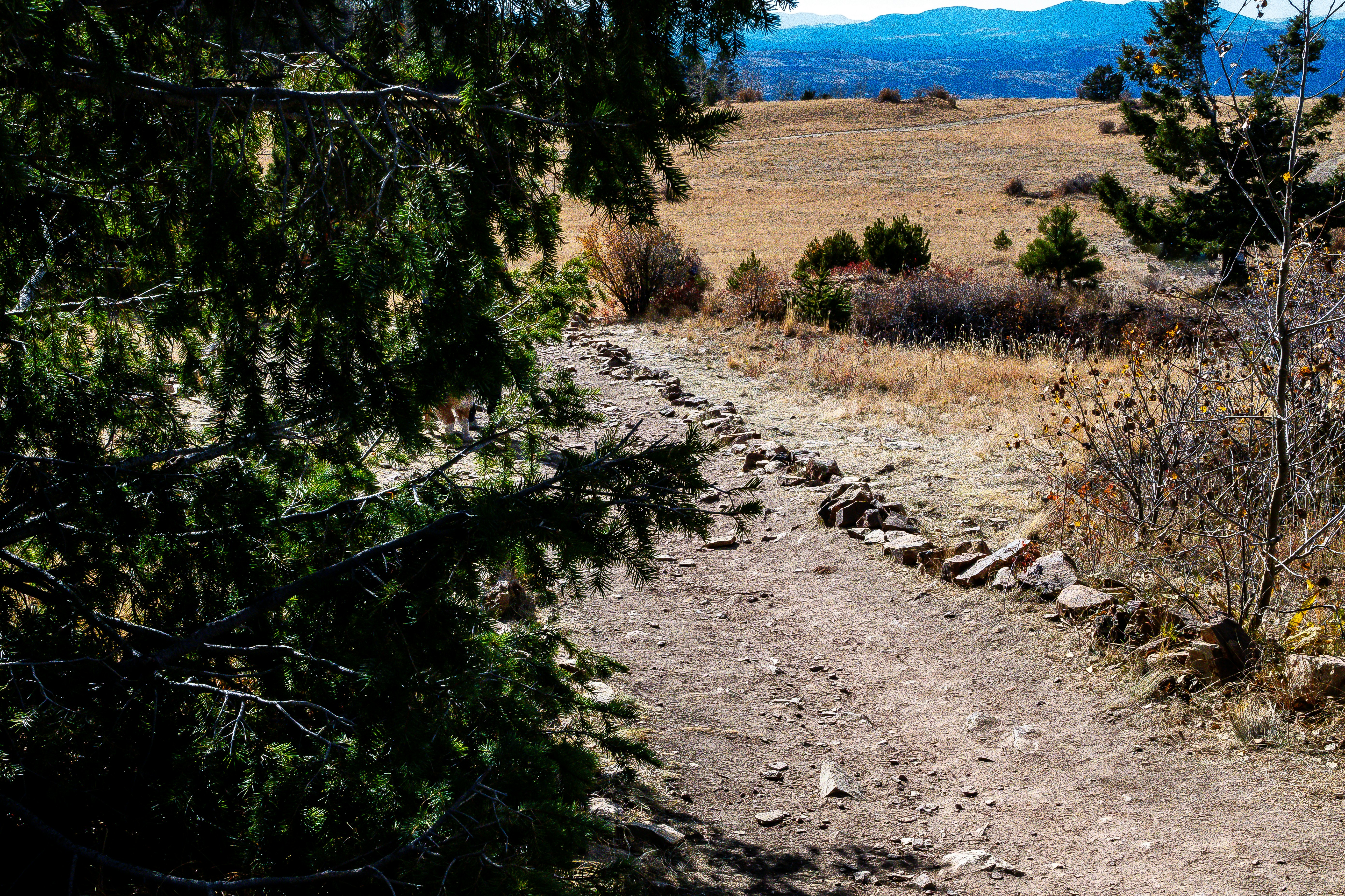 a dirt path in the middle of a field, Scenic Mountain Views from Little Grouse Overlook near Cripple Creek