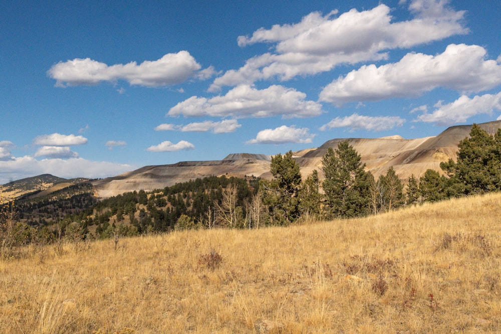 a grassy field with trees and mountains in the background