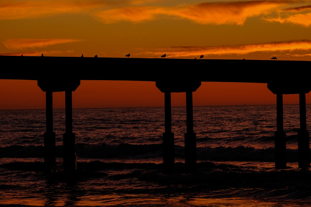 a sunset view of a pier with birds sitting on it