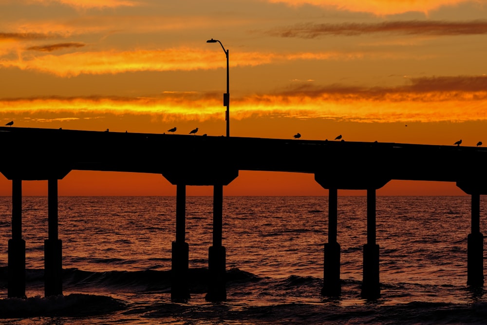 a pier with birds sitting on it at sunset