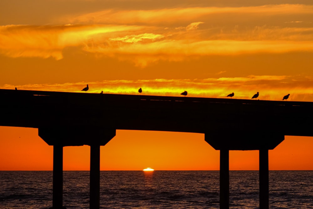 a group of birds sitting on top of a bridge