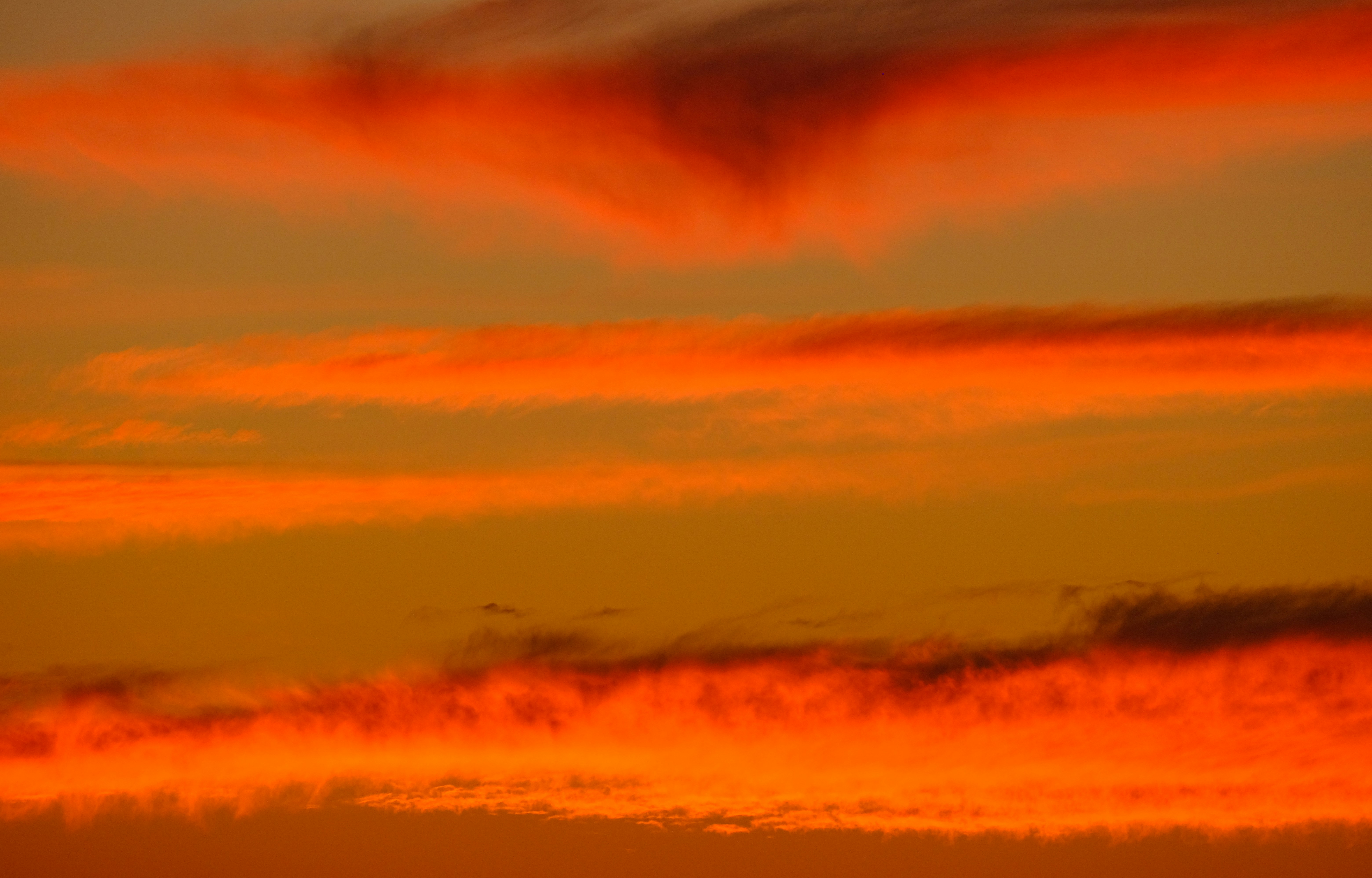 Photo by cestmoisheedy