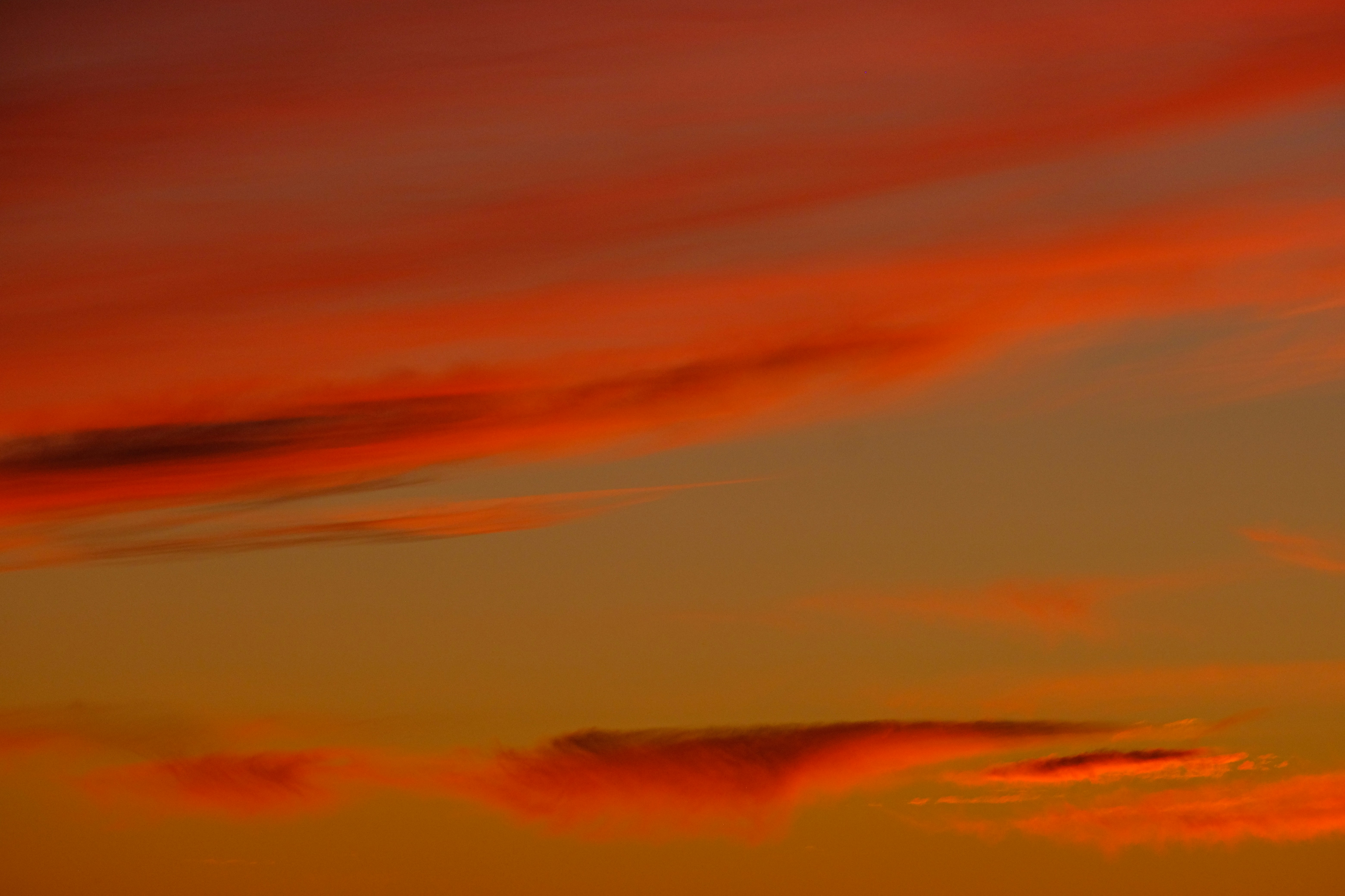 Photo by cestmoisheedy