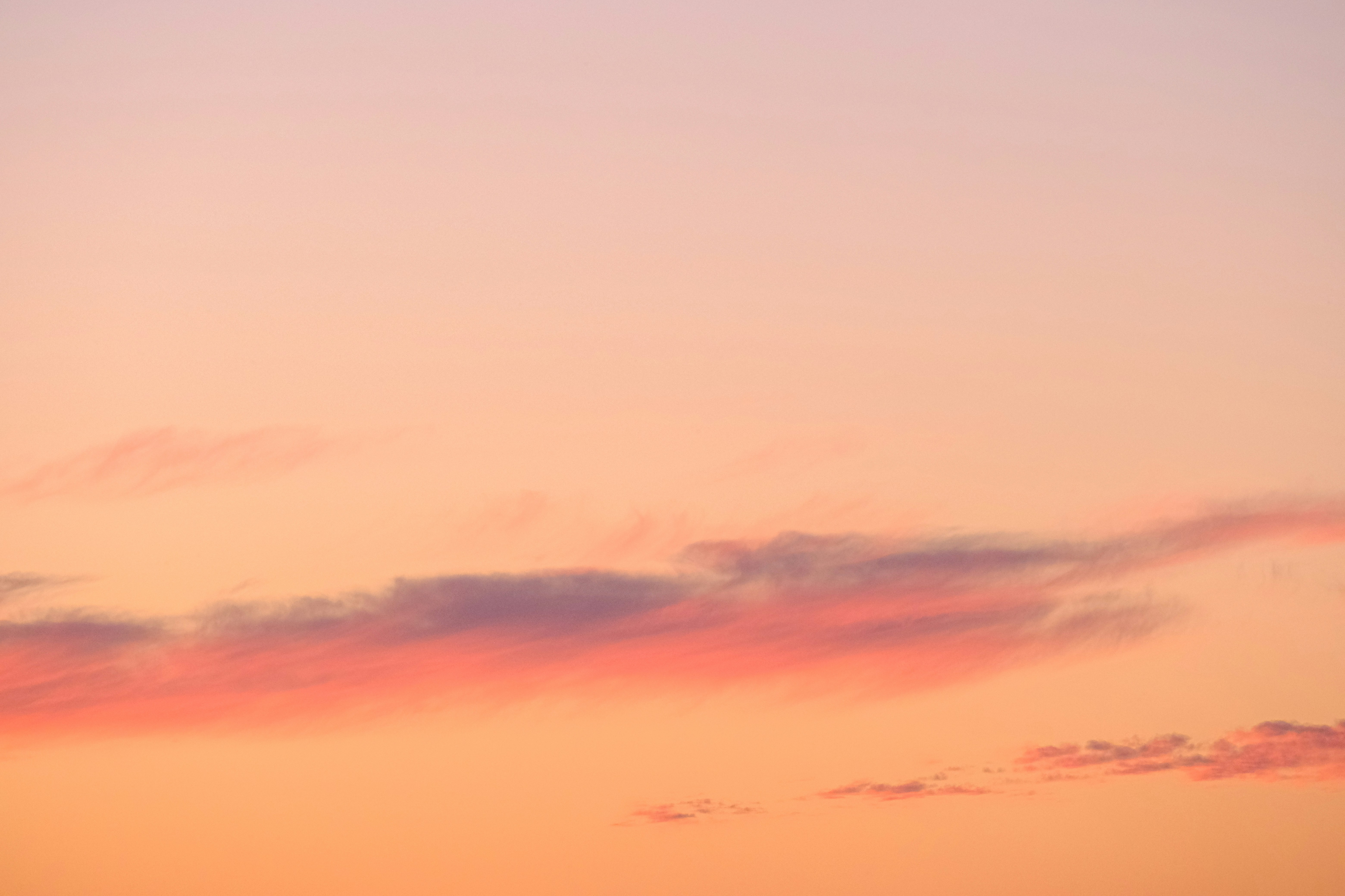 Photo by cestmoisheedy