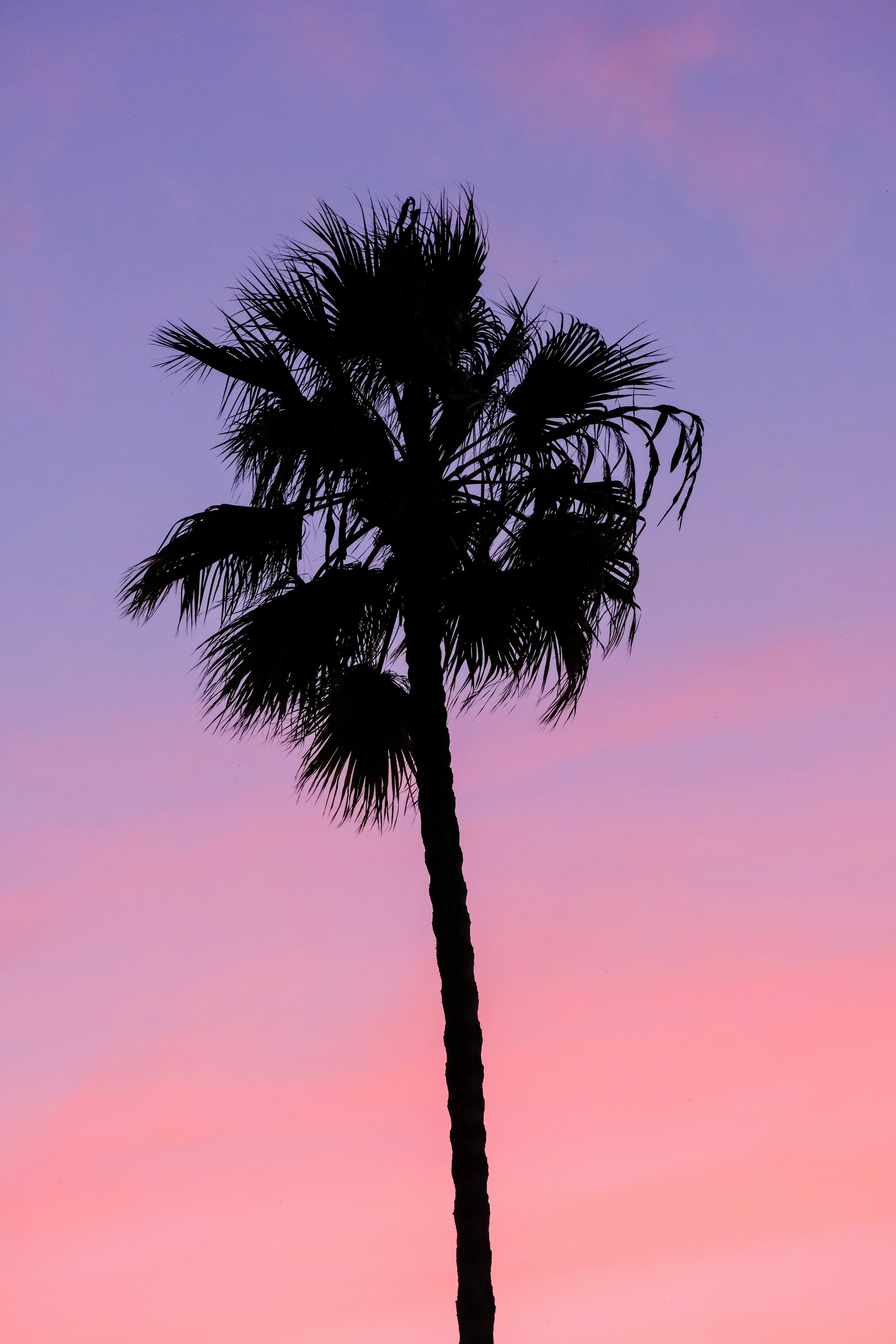 Photo by cestmoisheedy