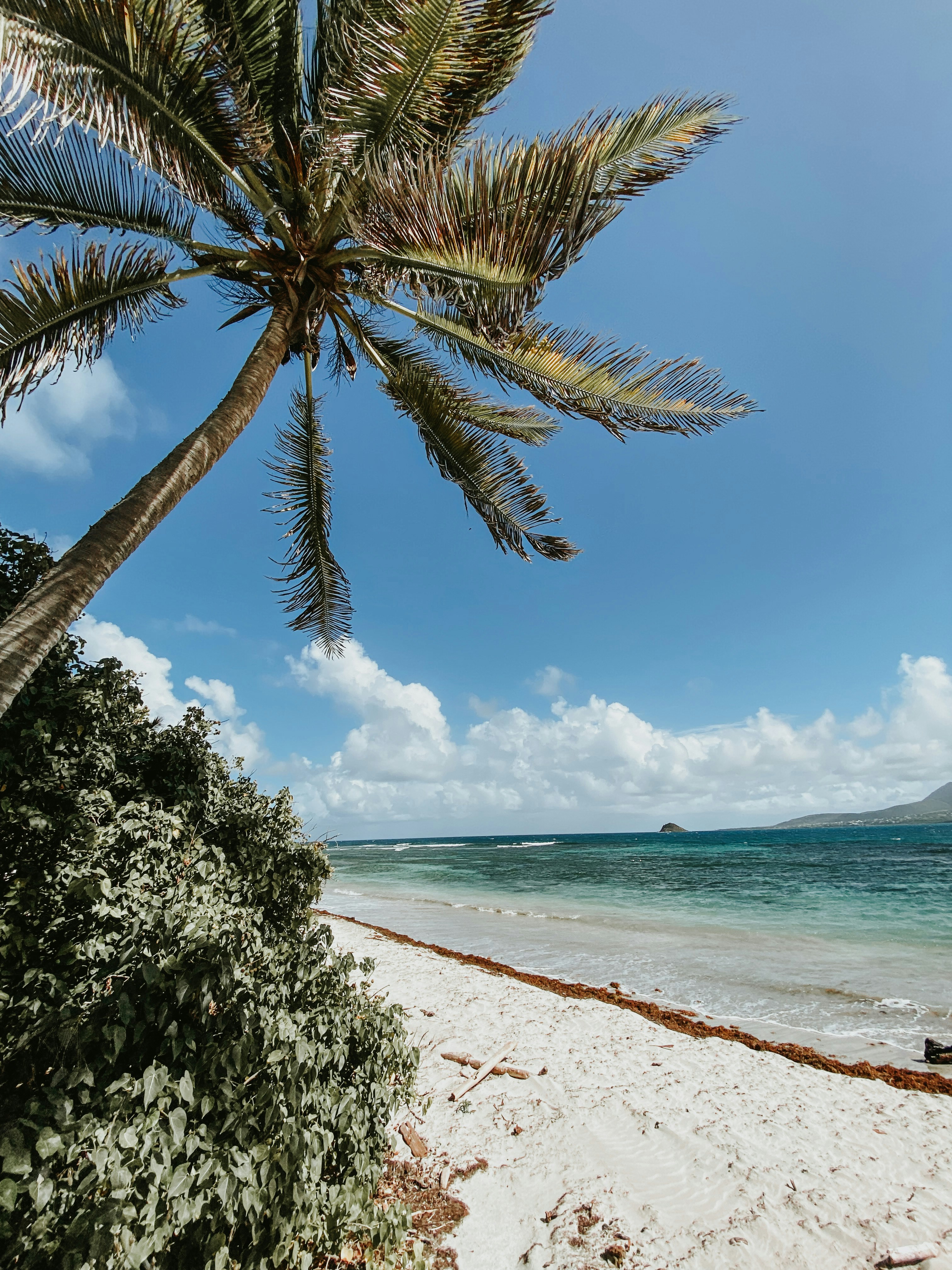 Photo by kwestioning