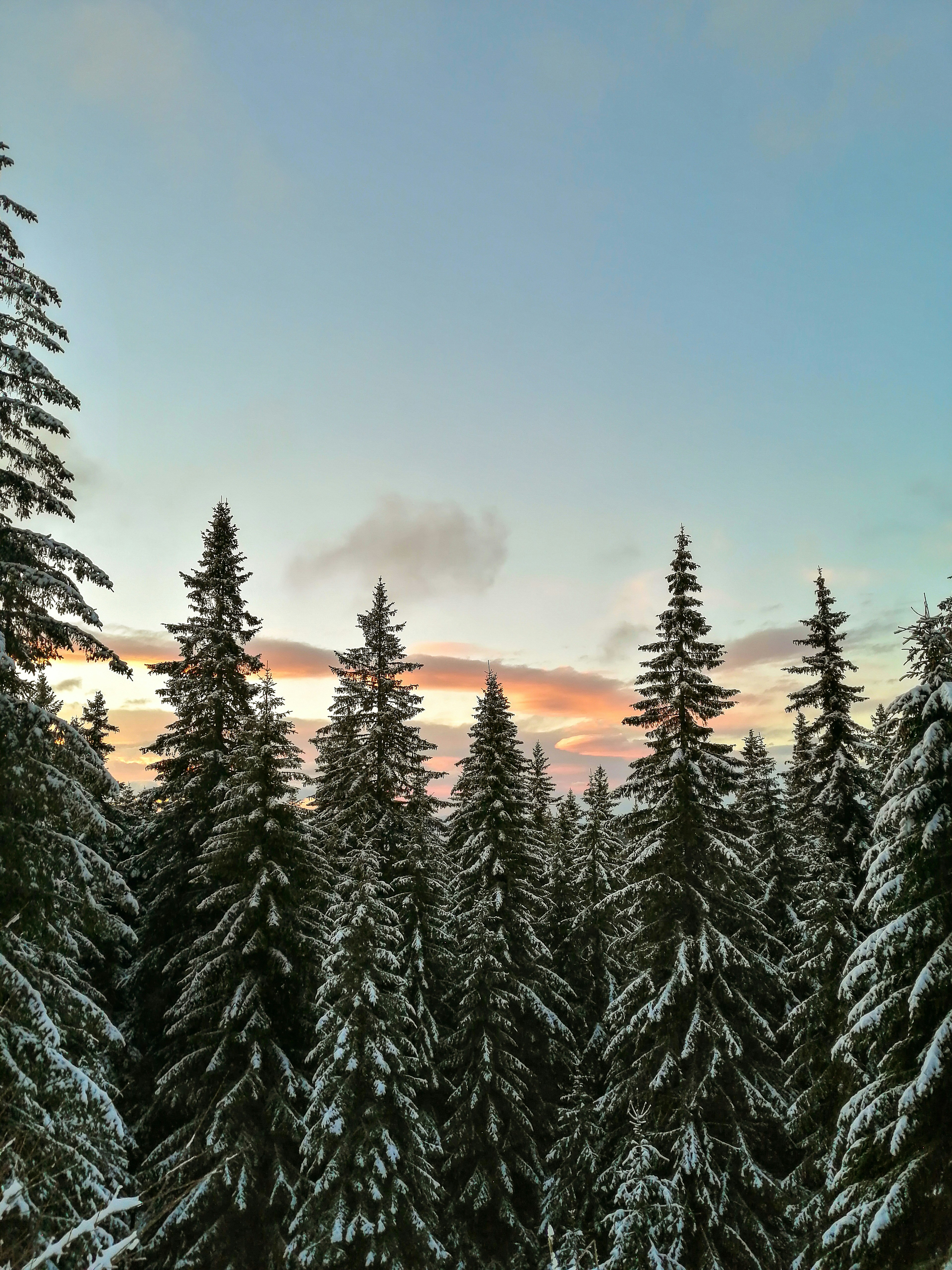 Photo by yoanaboyadjieva