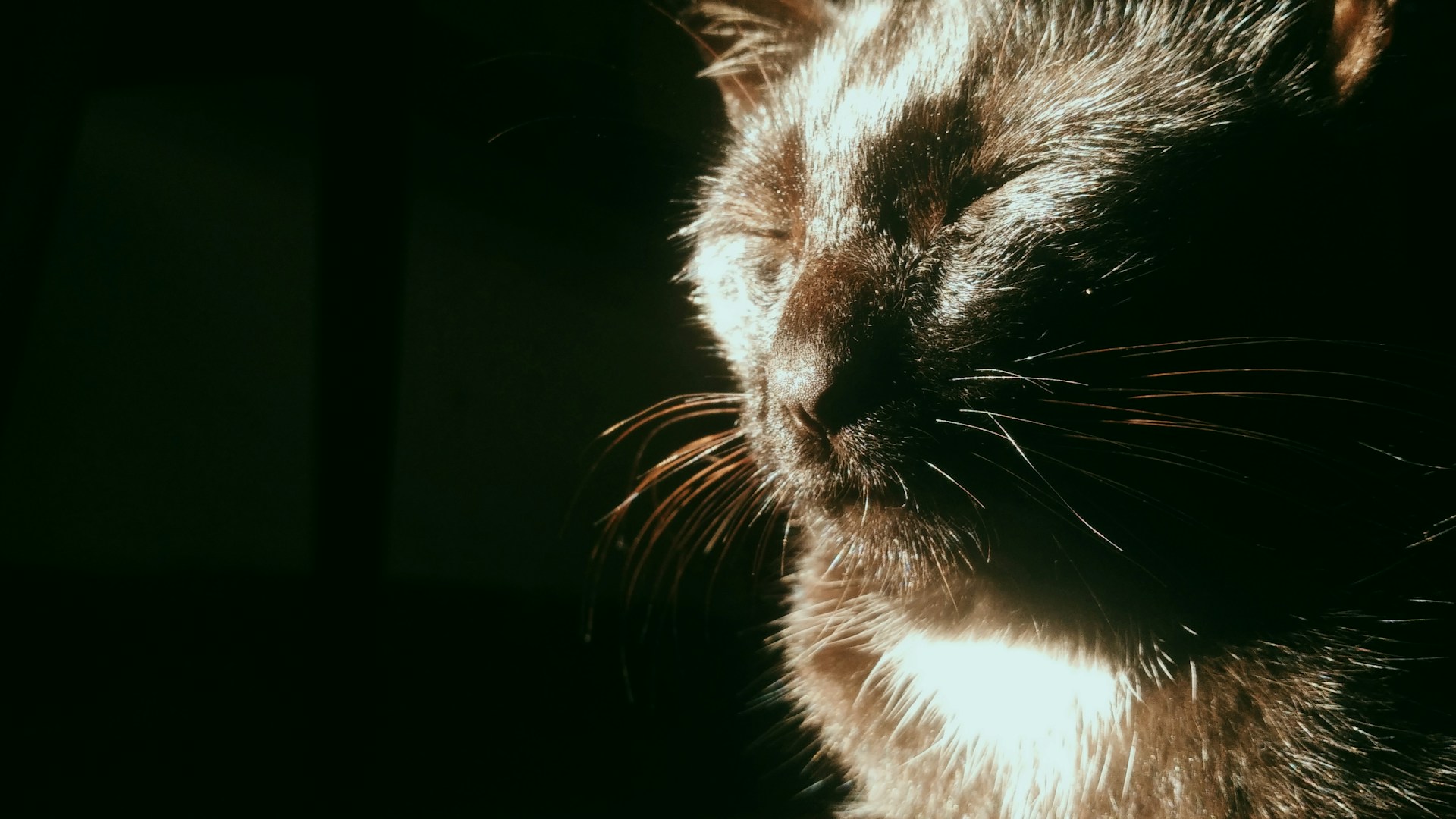 black and white bed linen