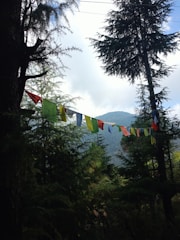 Colorful prayer flags are strung across a forested area with tall, lush green trees. The background features a misty mountain partially obscured by clouds, creating a serene and peaceful atmosphere.
