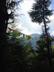 A serene temple nestled among forested hills with prayer flags fluttering in the breeze.