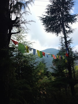 Colorful prayer flags are strung across a forested area with tall, lush green trees. The background features a misty mountain partially obscured by clouds, creating a serene and peaceful atmosphere.