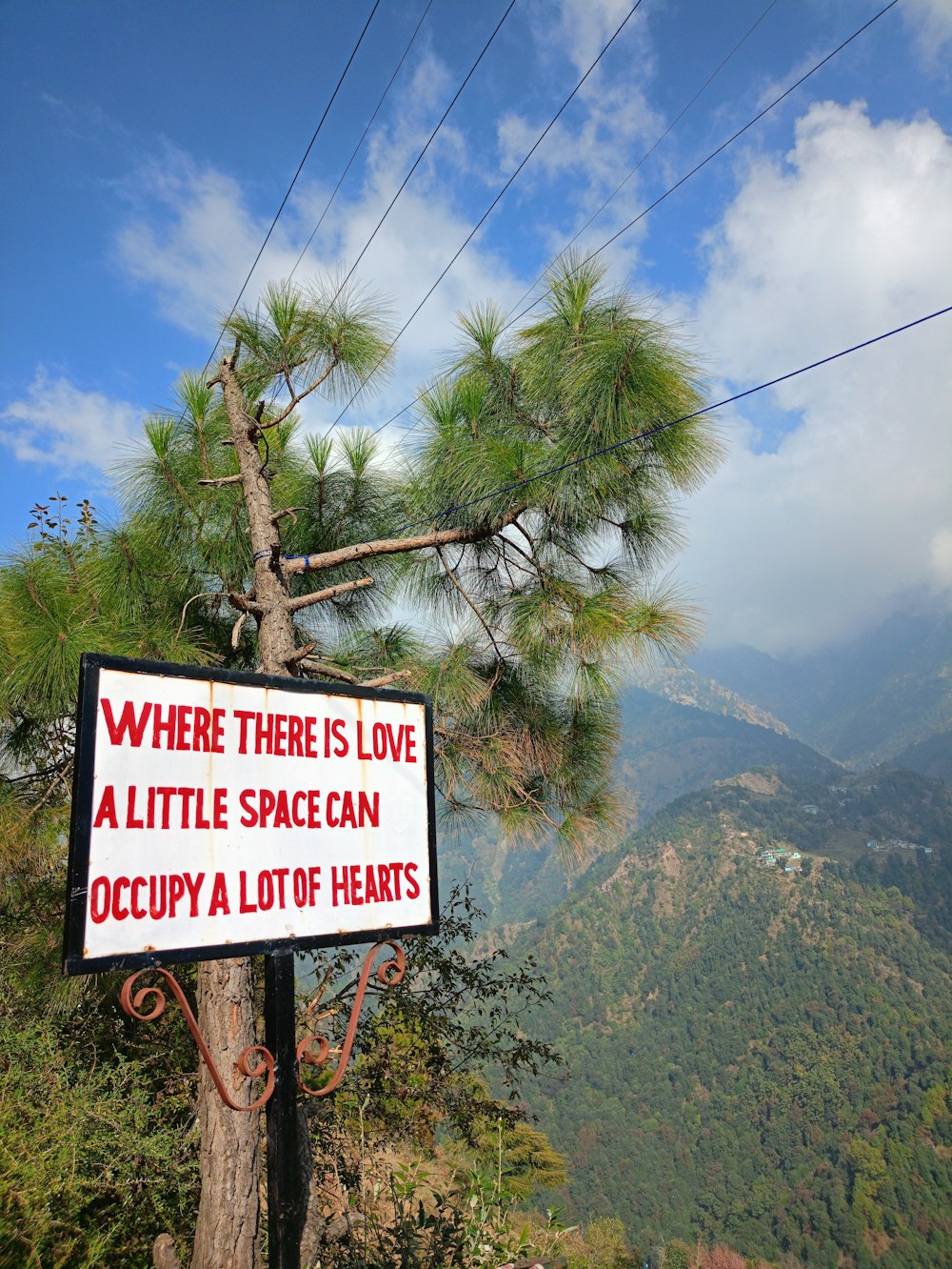 a sign on a tree that says where there is love a little space can occupy