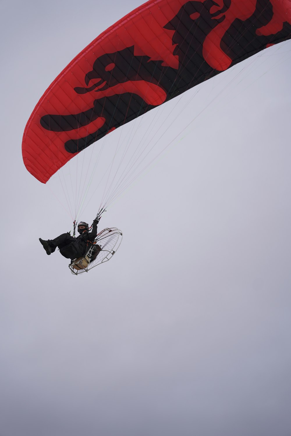 a person is parasailing in the air with a dragon kite