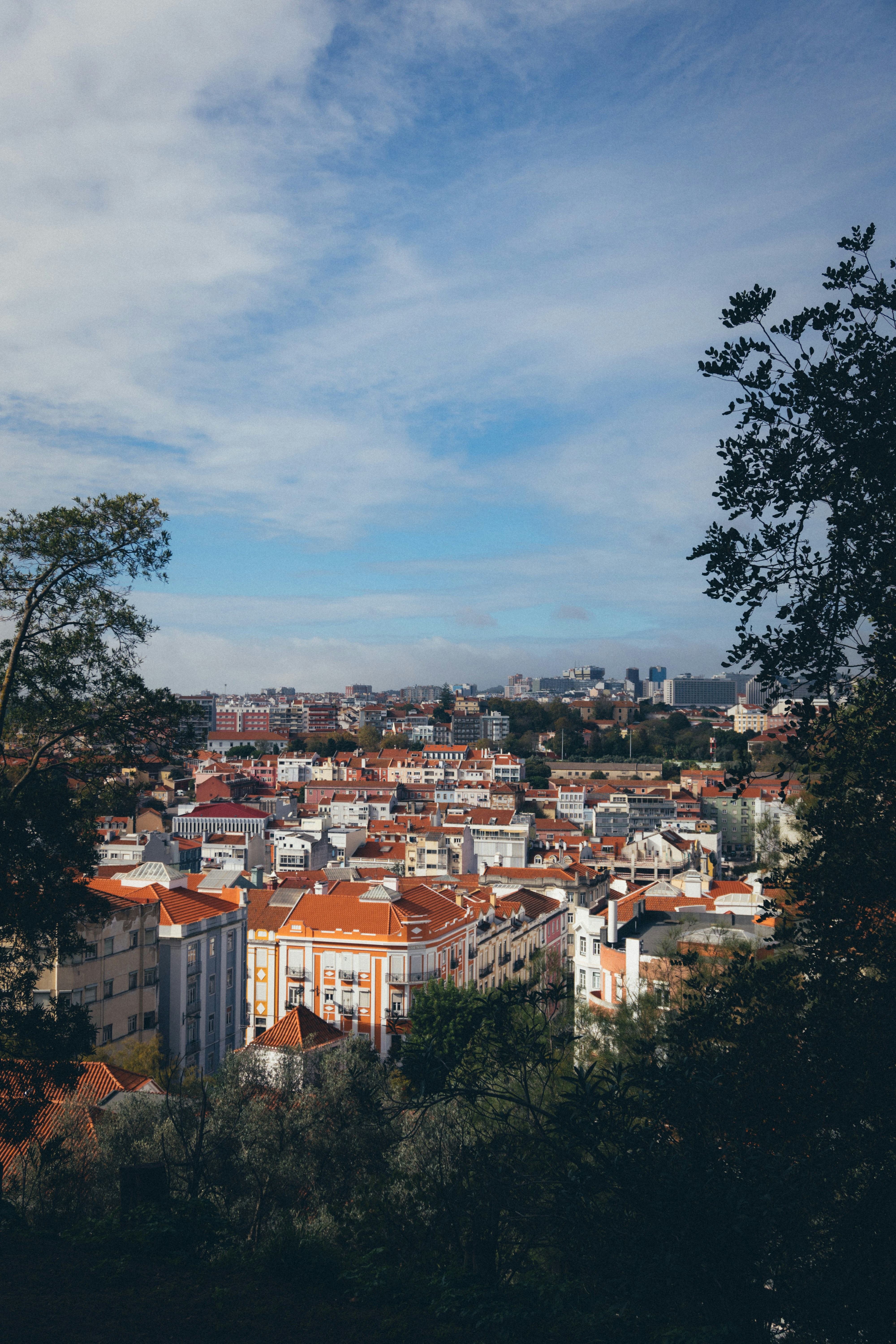 Photo by taraschuiko