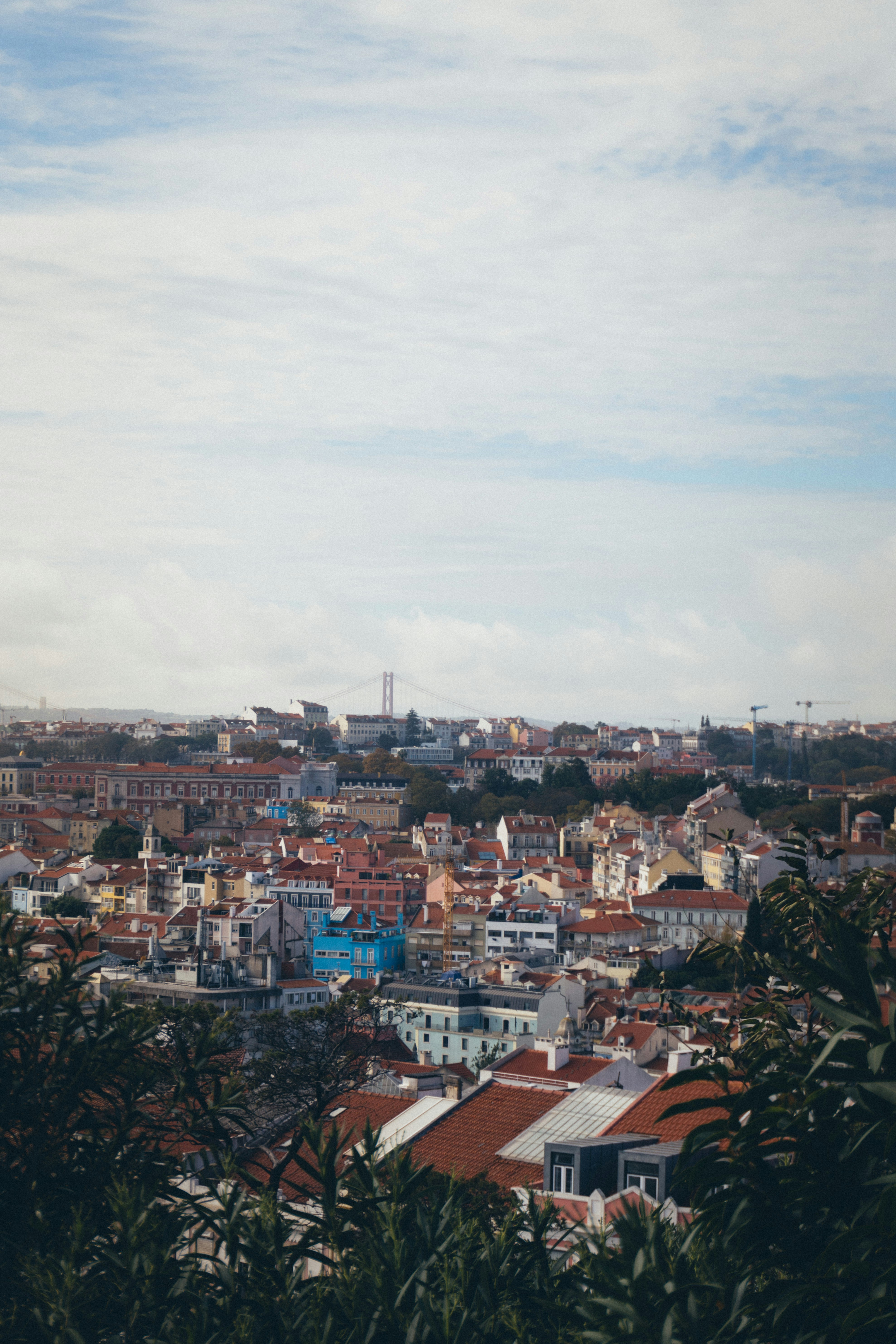 Photo by taraschuiko