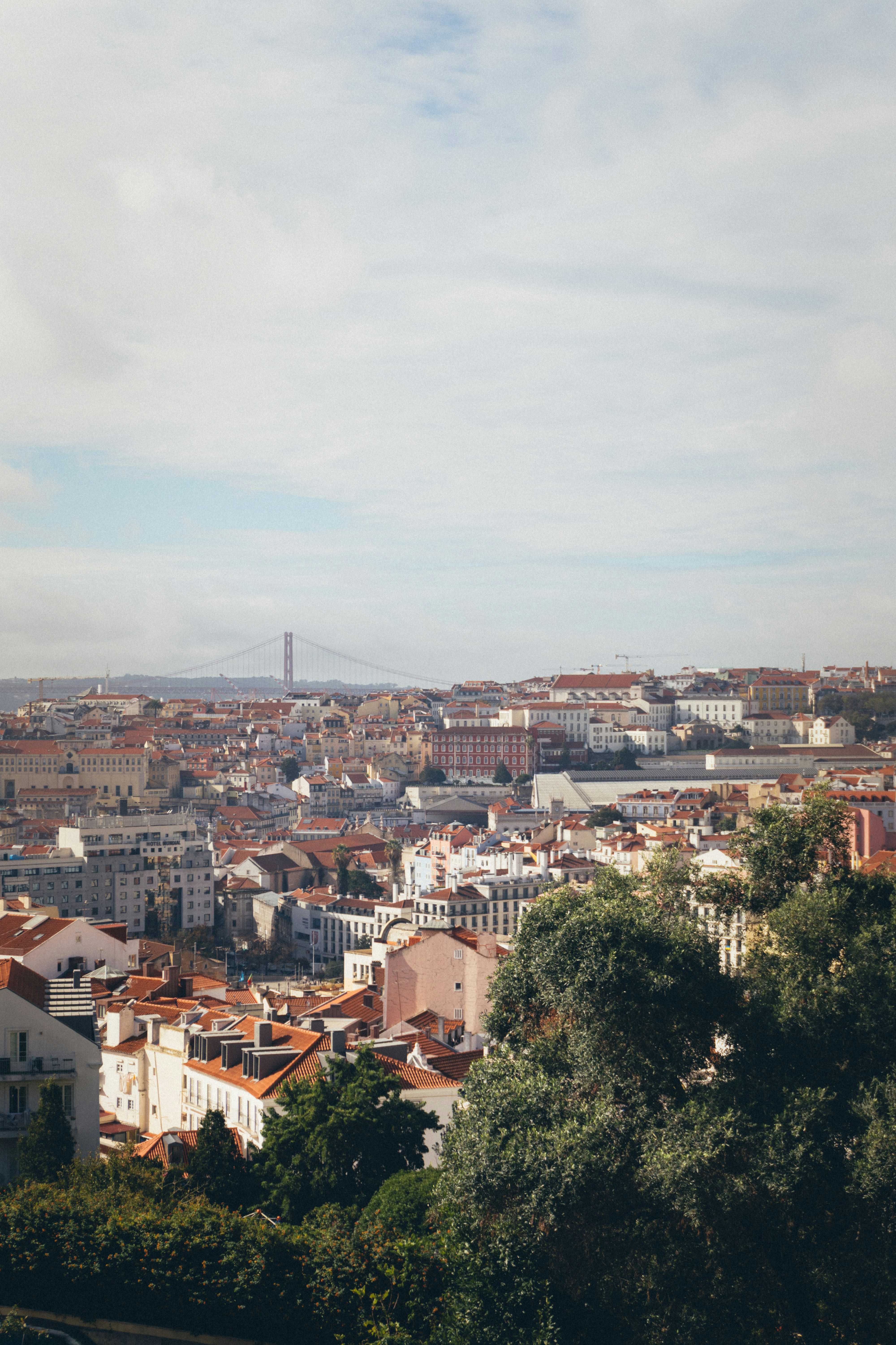 Photo by taraschuiko