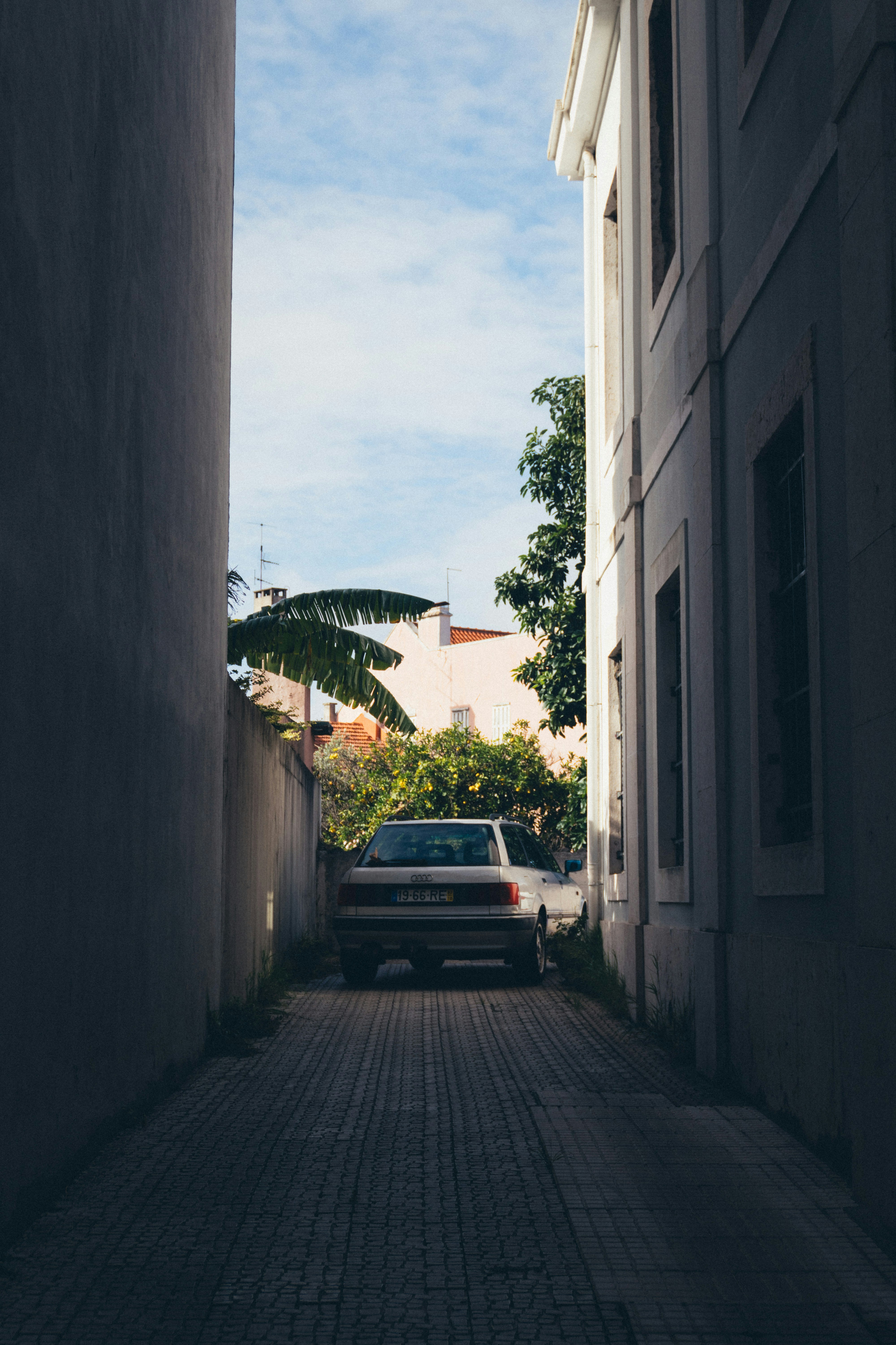 Photo by taraschuiko