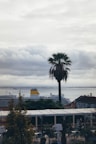 A large cruise ship is docked near a waterfront, with a prominent palm tree in the foreground. The sky is overcast, and there are clouds above the water. The scene also includes some foliage and a small outdoor cafe with people seated at tables under a pergola.