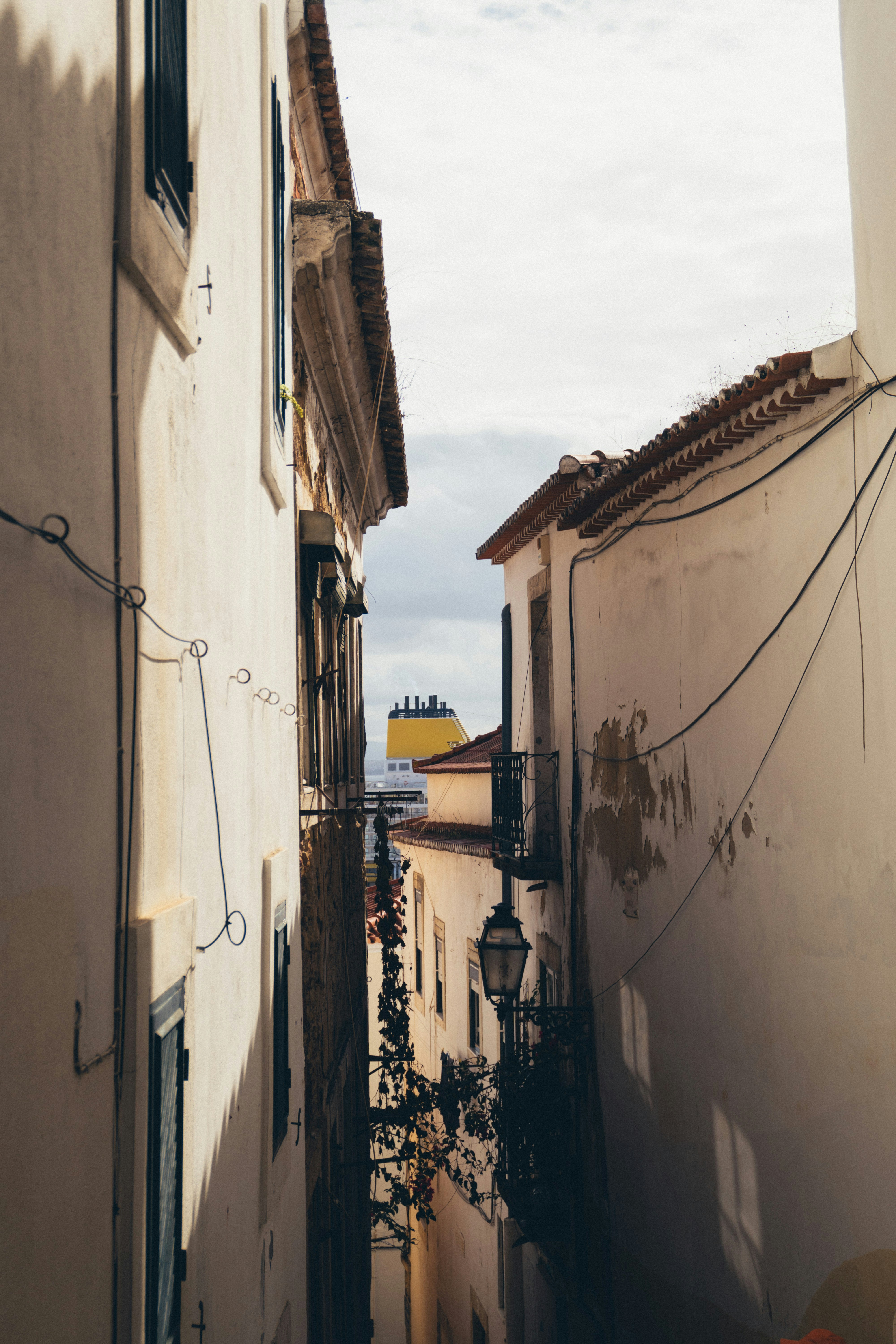 Photo by taraschuiko