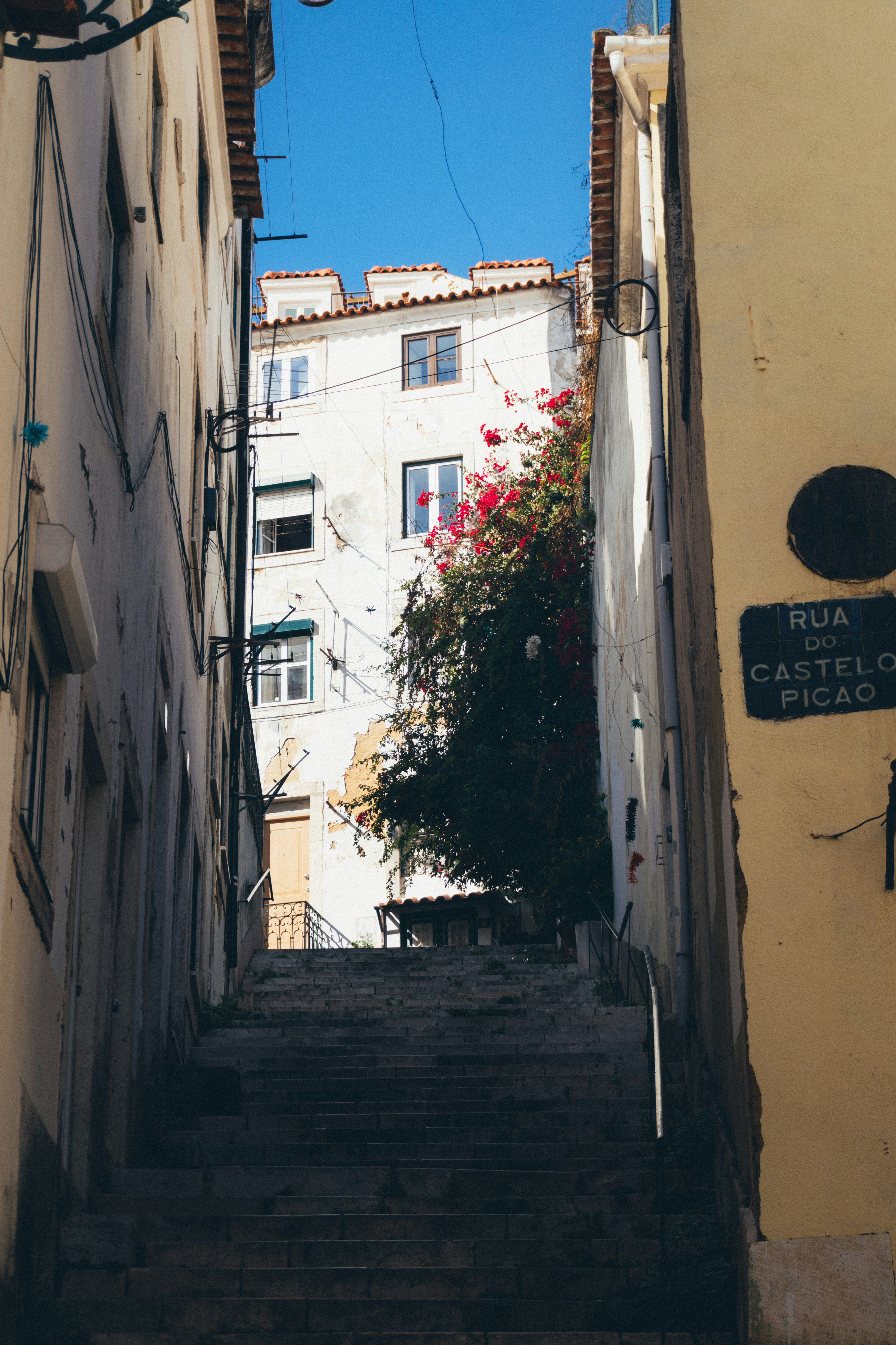 Photo by taraschuiko