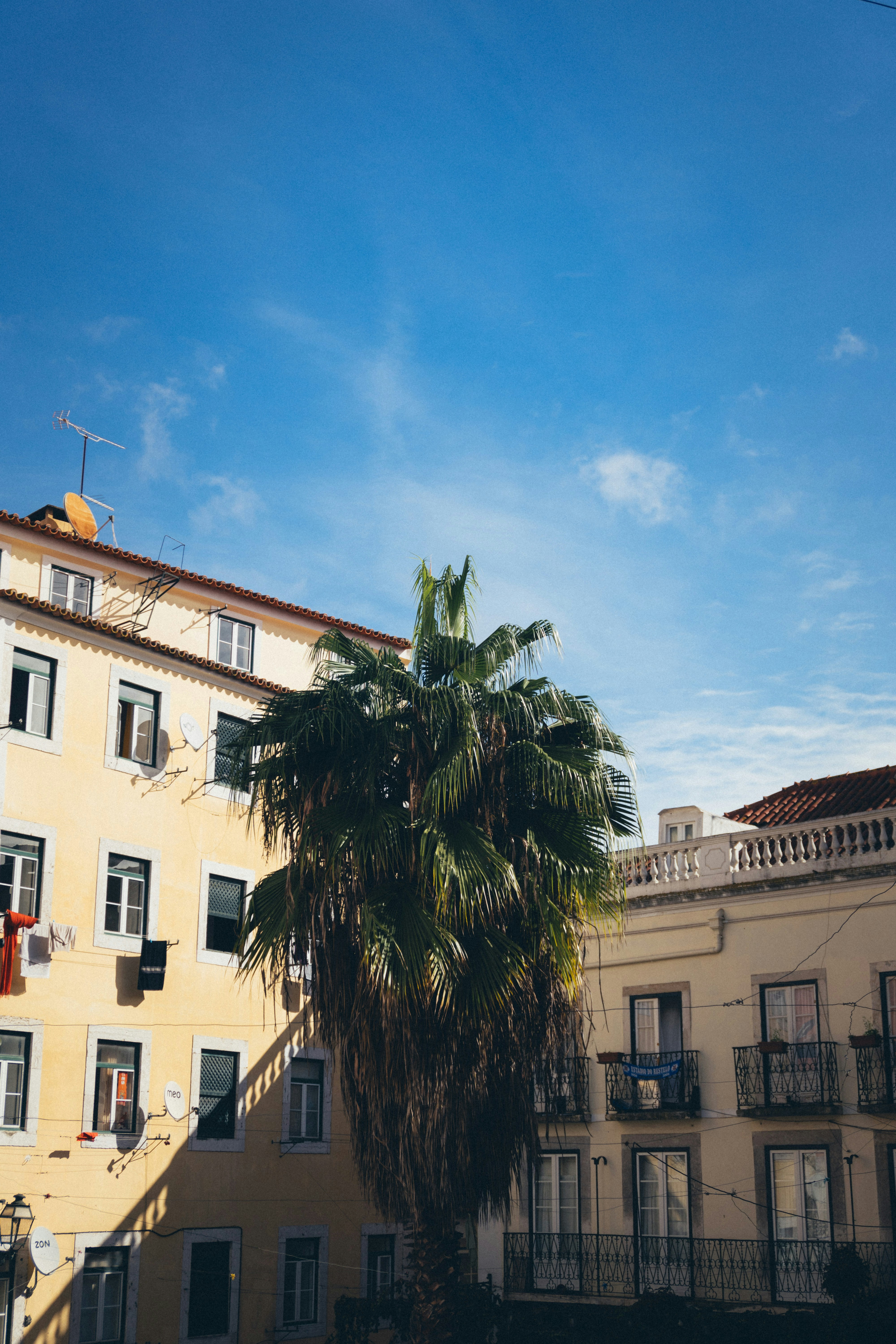 Photo by taraschuiko