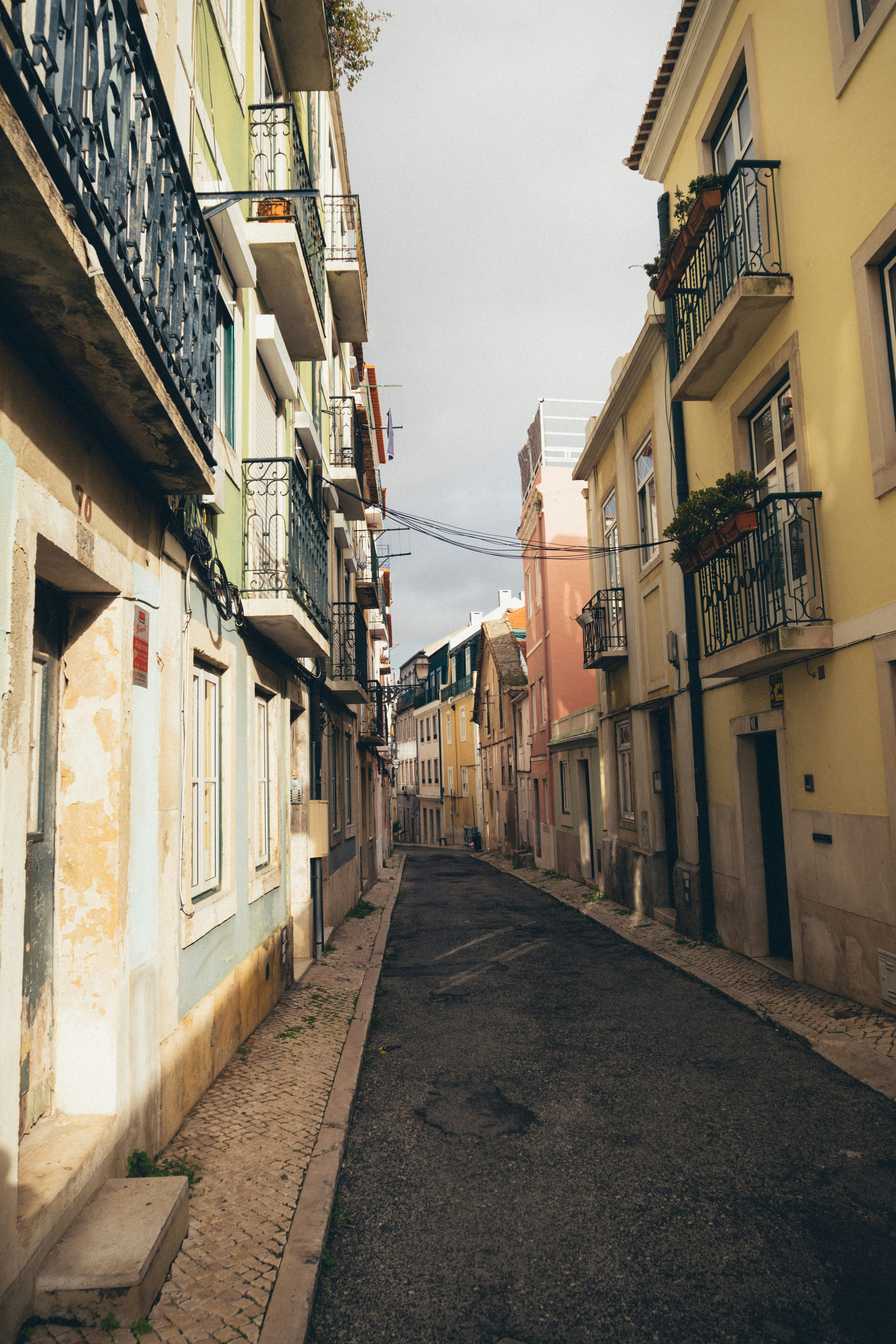 Photo by taraschuiko