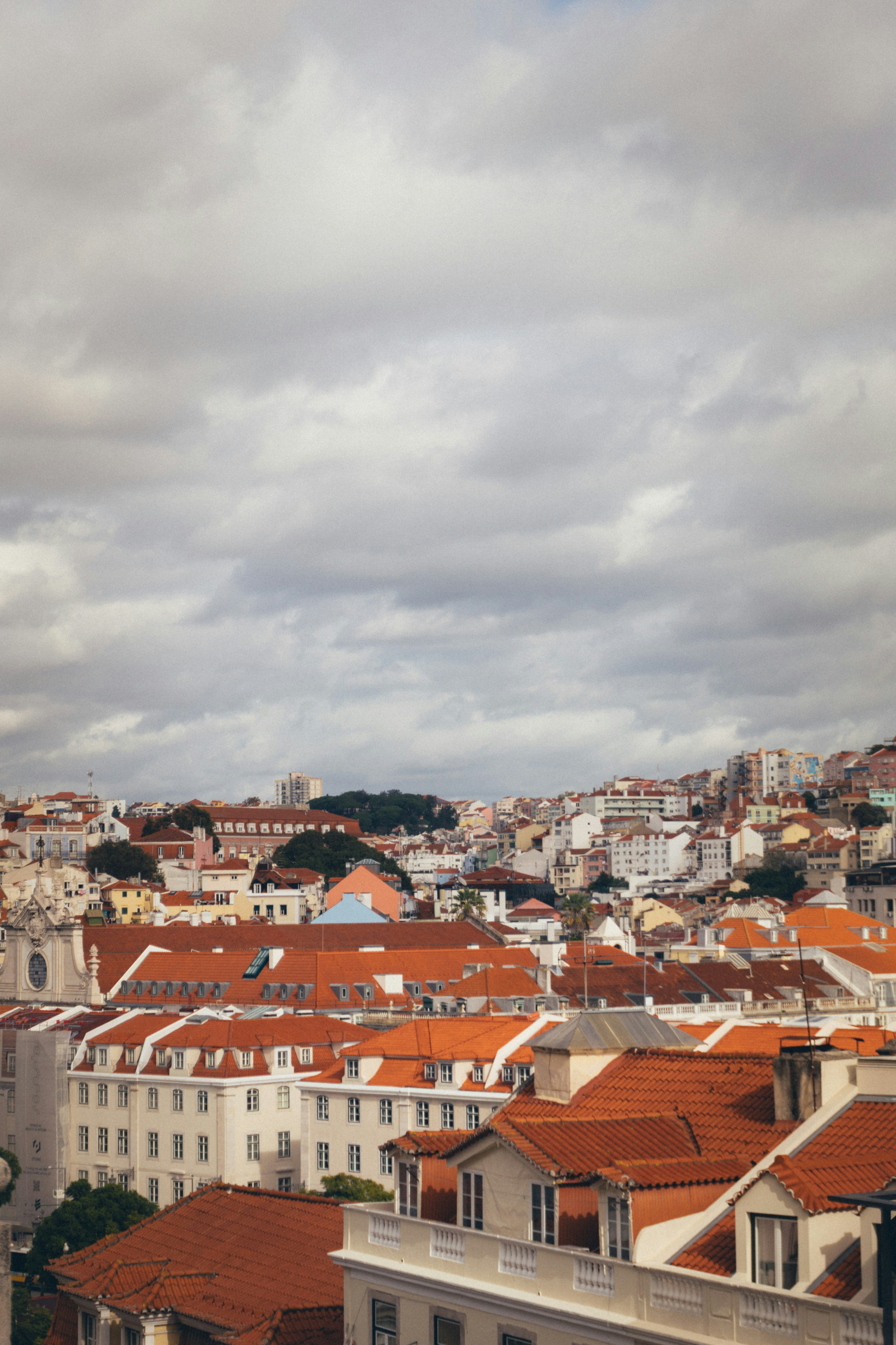 Photo by taraschuiko