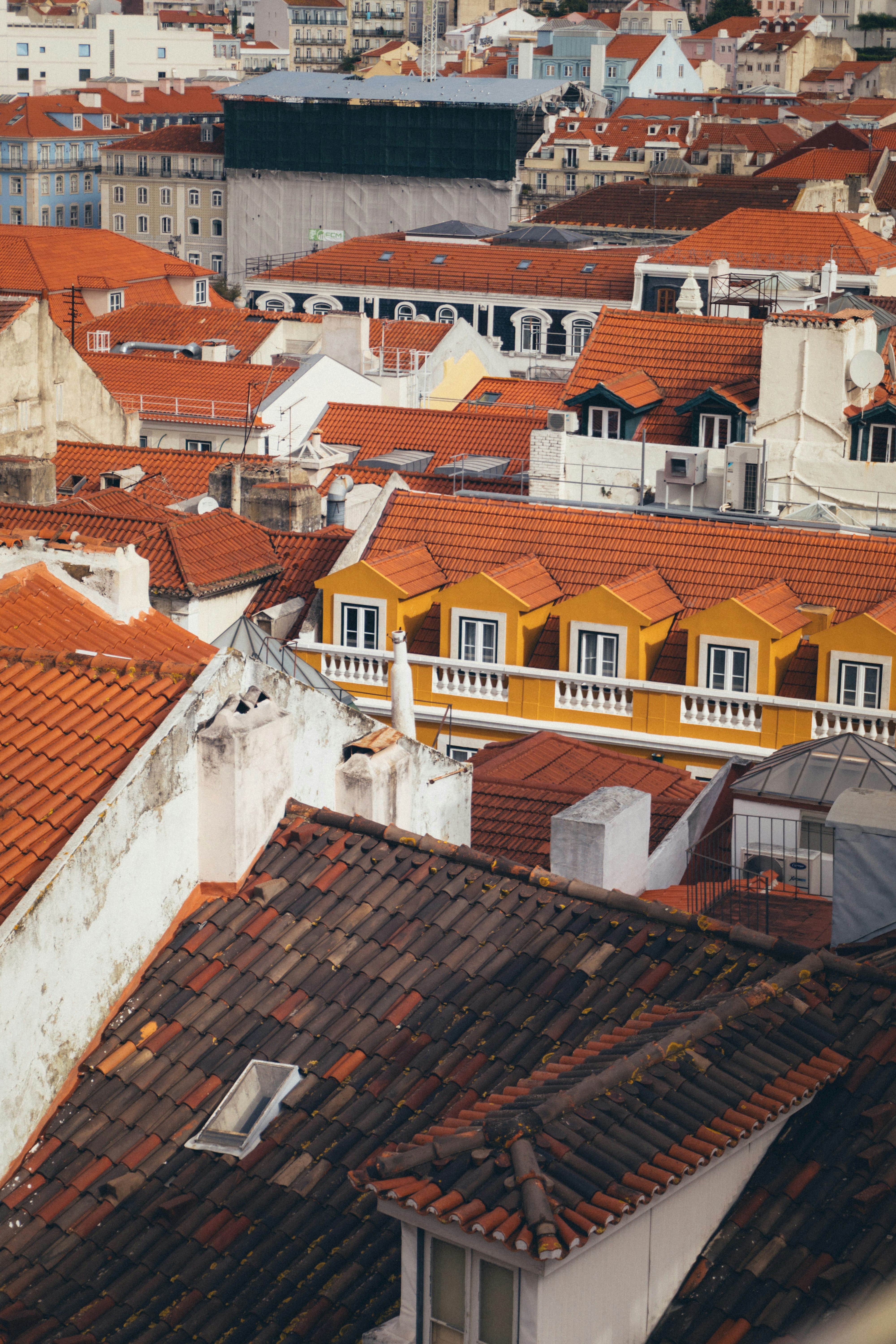 Photo by taraschuiko