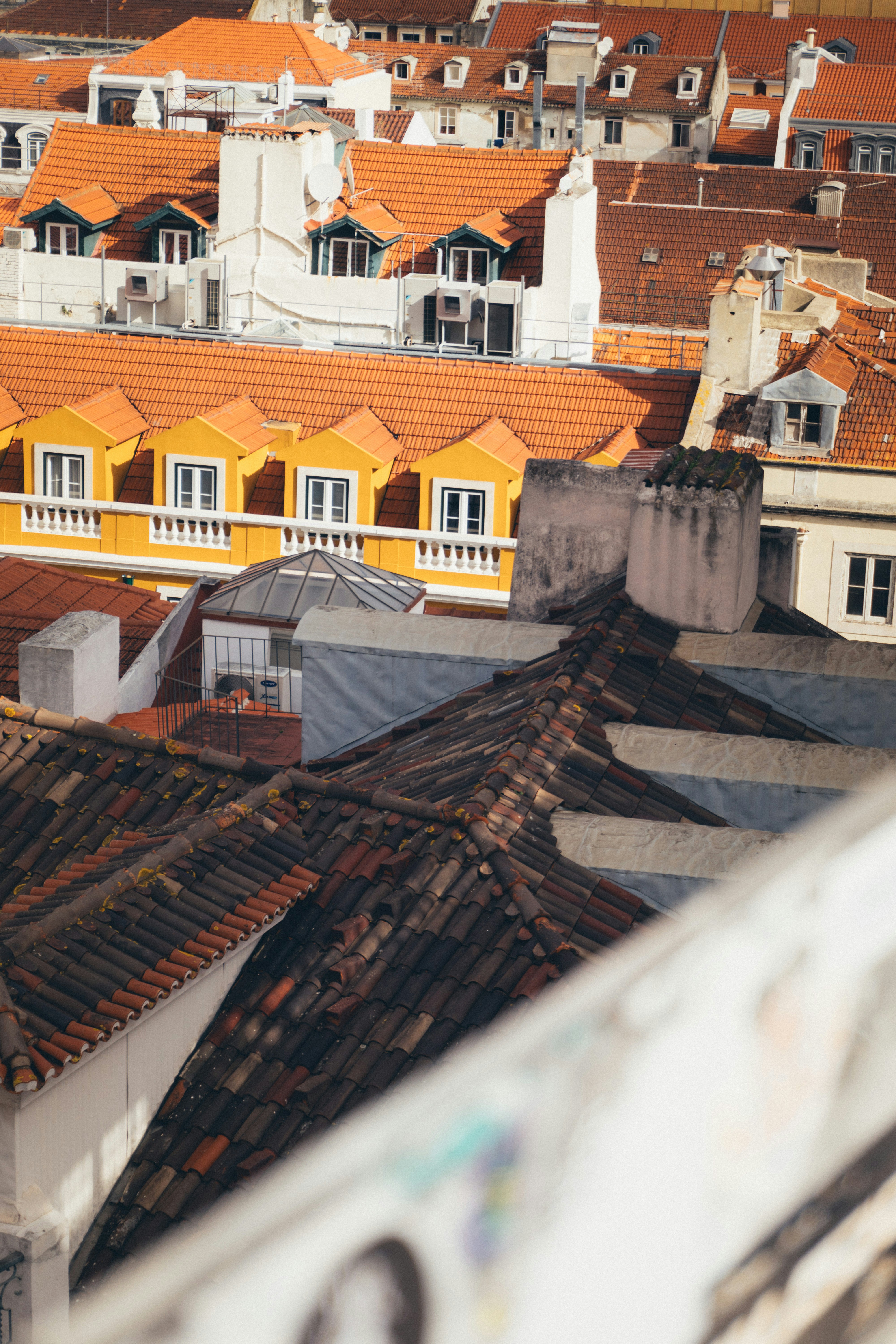 Photo by taraschuiko